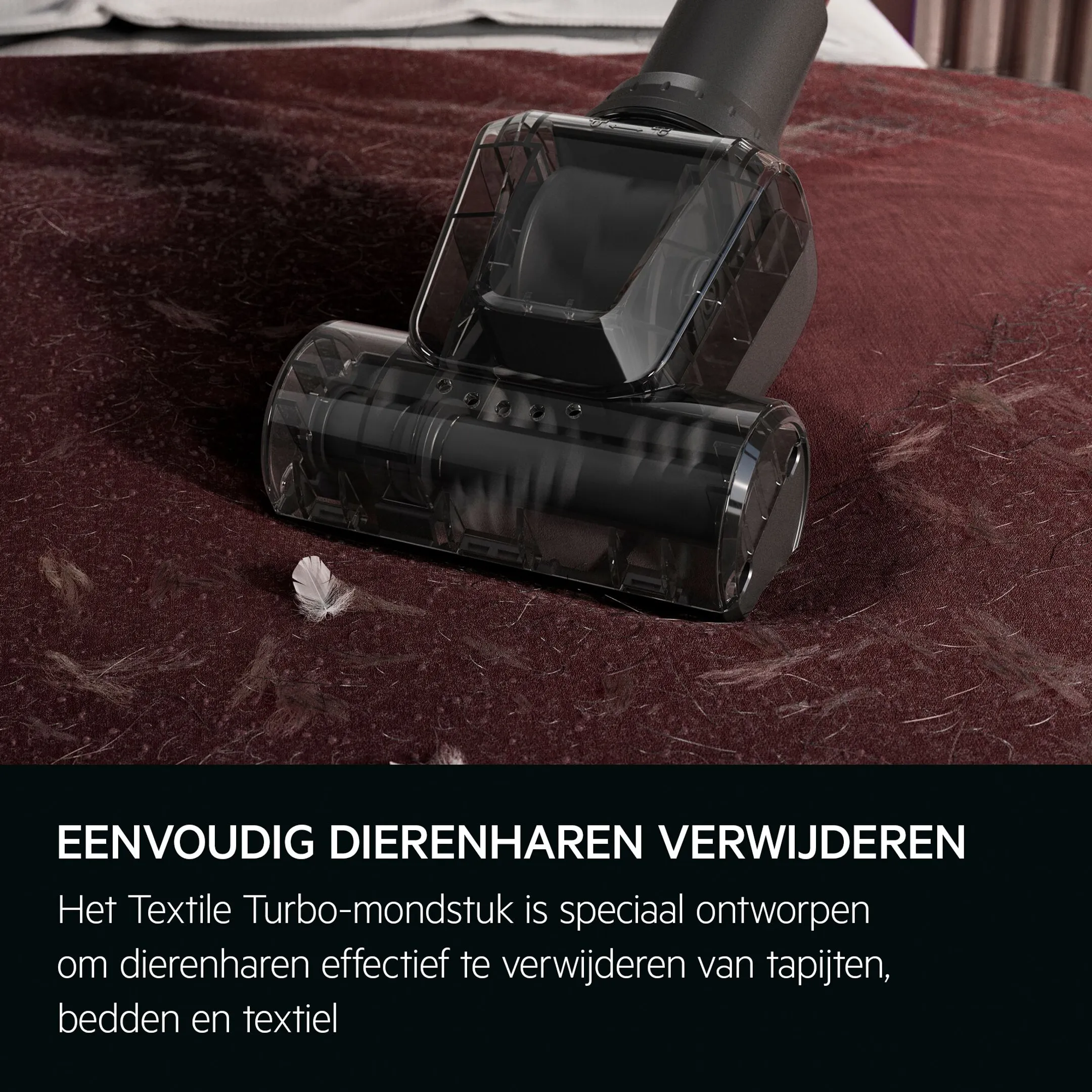 AEG Stofzuiger zonder zak Animal 5000 AL51A3LDB image