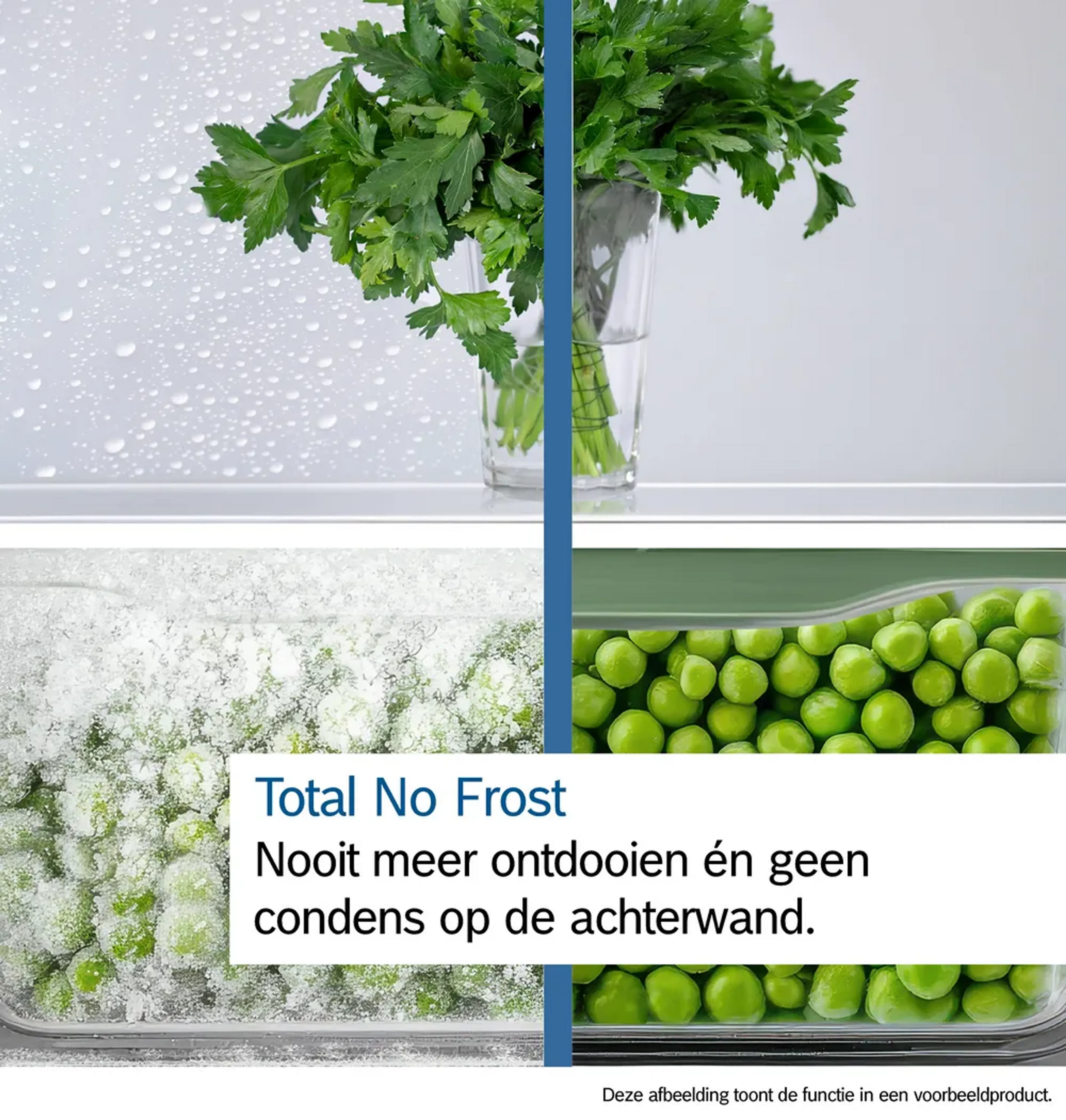 Bosch Koelkast met diepvries KGN33NSDB image