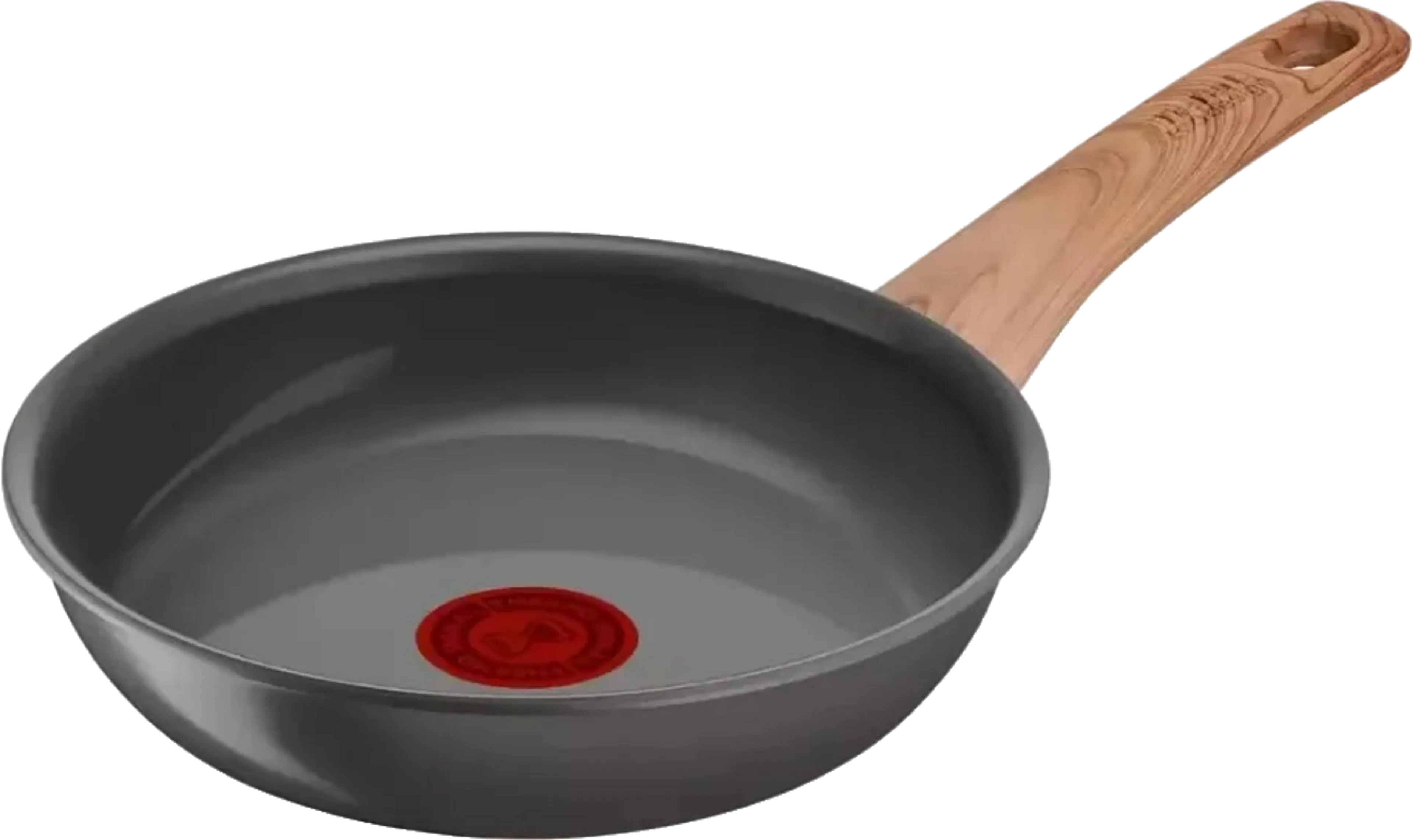Braadpan Renew - Ø20 cm