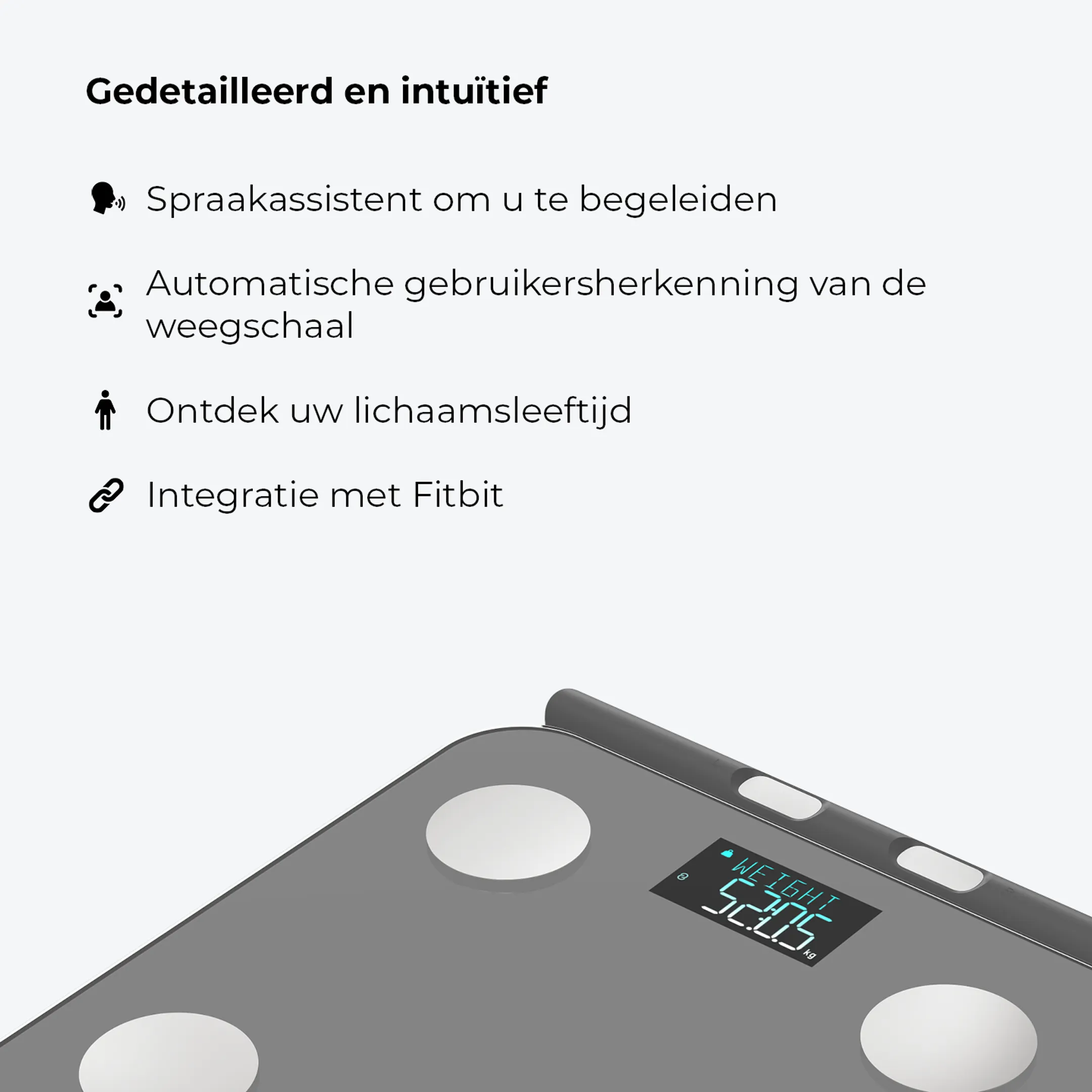 HAEPI Personenweegschaal HI-ANNA-GR image
