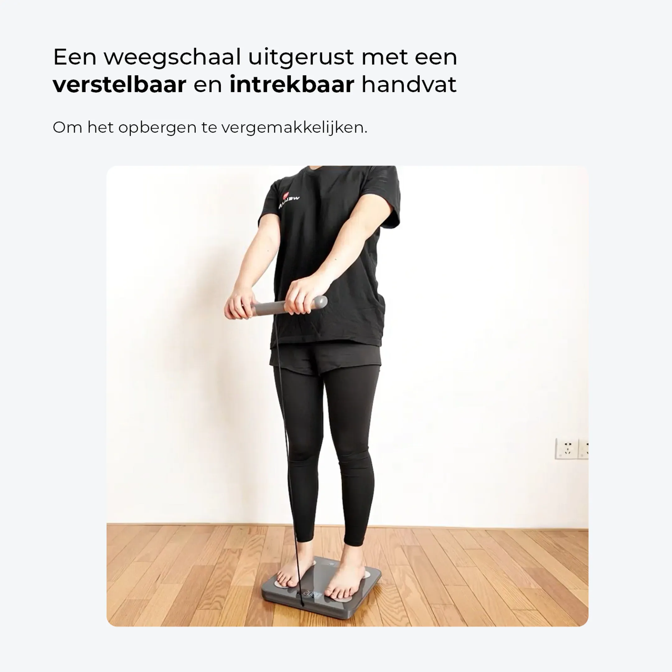 HAEPI Personenweegschaal HI-ANNA-GR image