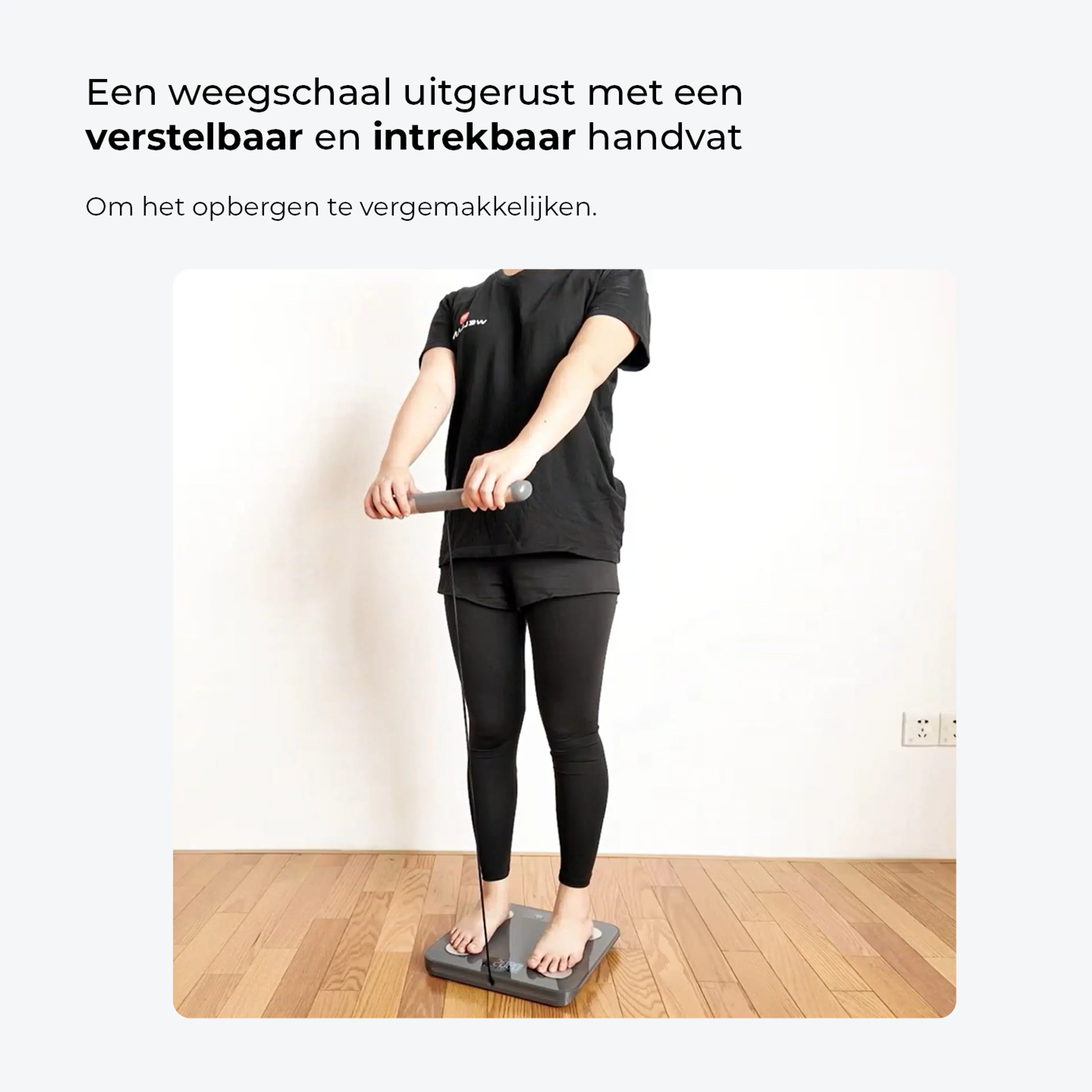 HAEPI Personenweegschaal HI-ANNA-GR image
