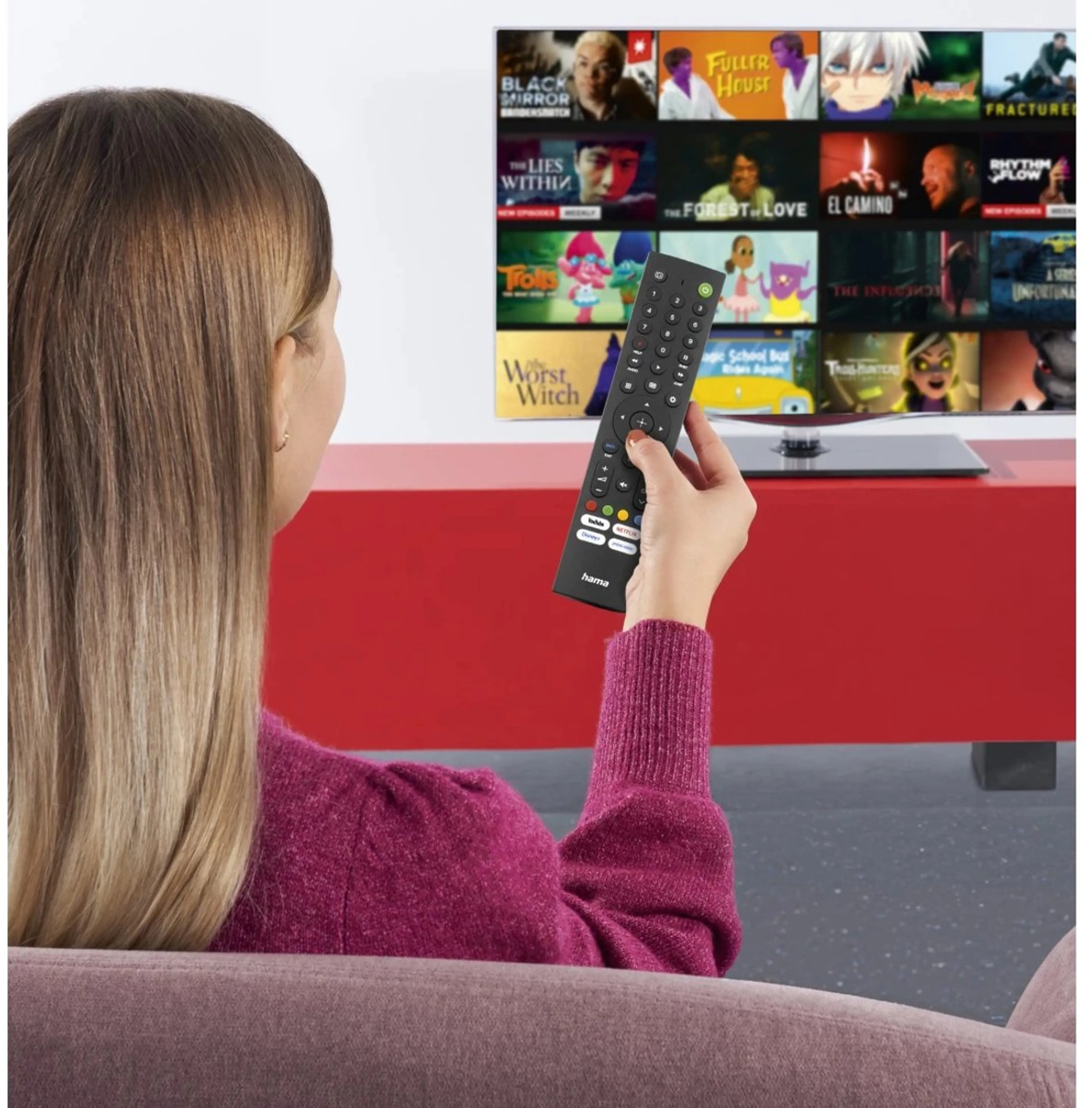 Hama Télécommande universelle pour TV SONY image