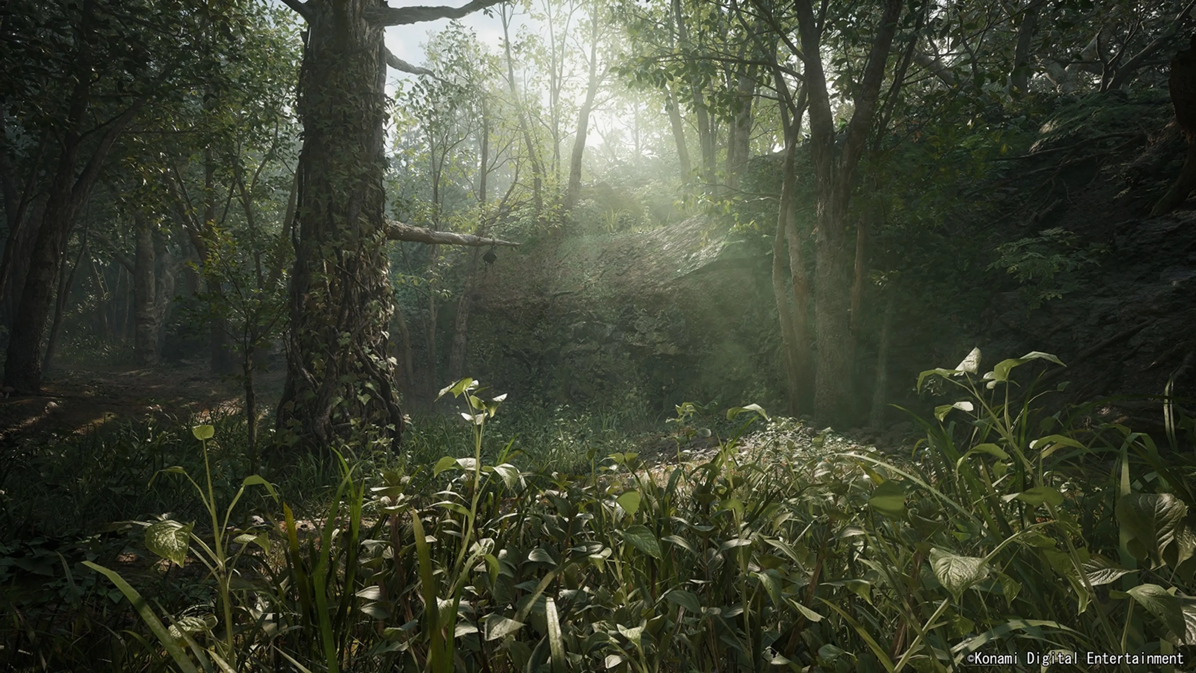 Playstation Metal Gear Solid Delta: Snake Eater - Day One Edition image