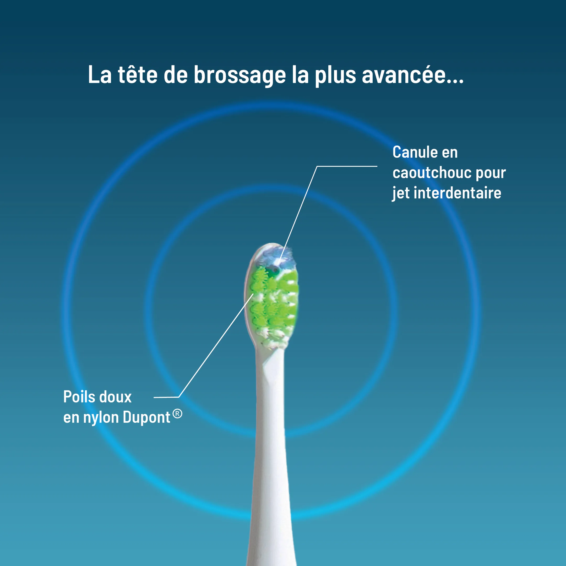 HAEPI Brosse à dents électrique 3-en-1 Julia image