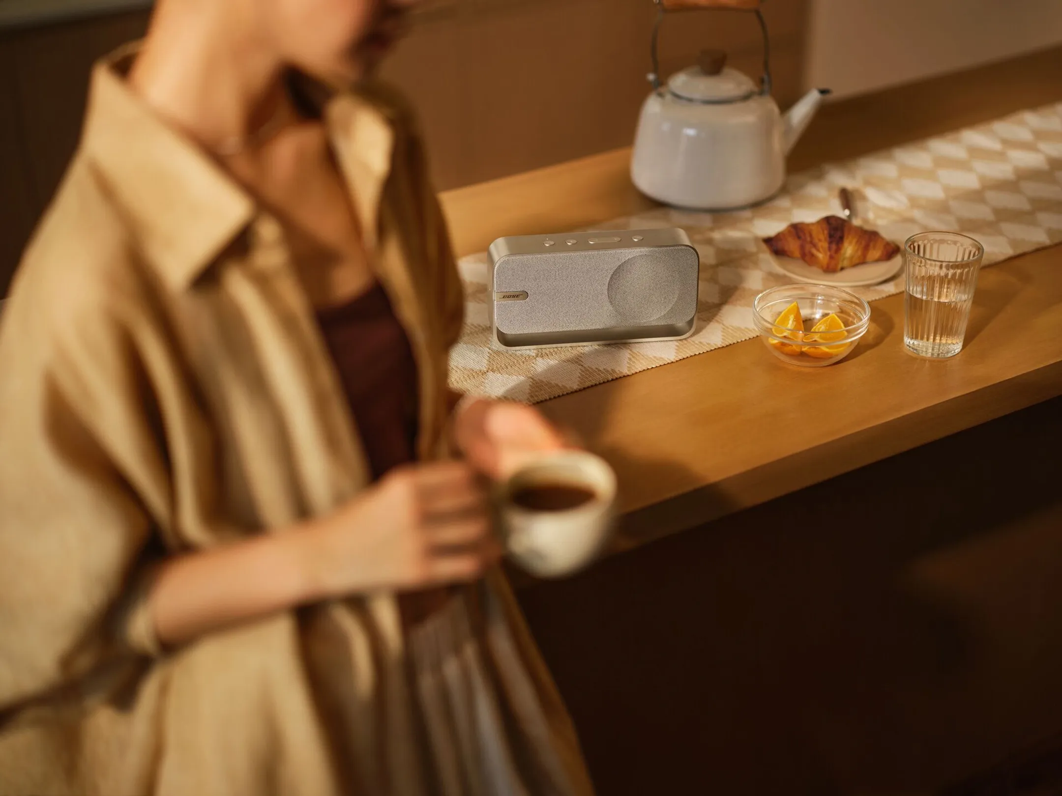 Bose Bluetooth speaker SoundLink Home - Zilver image