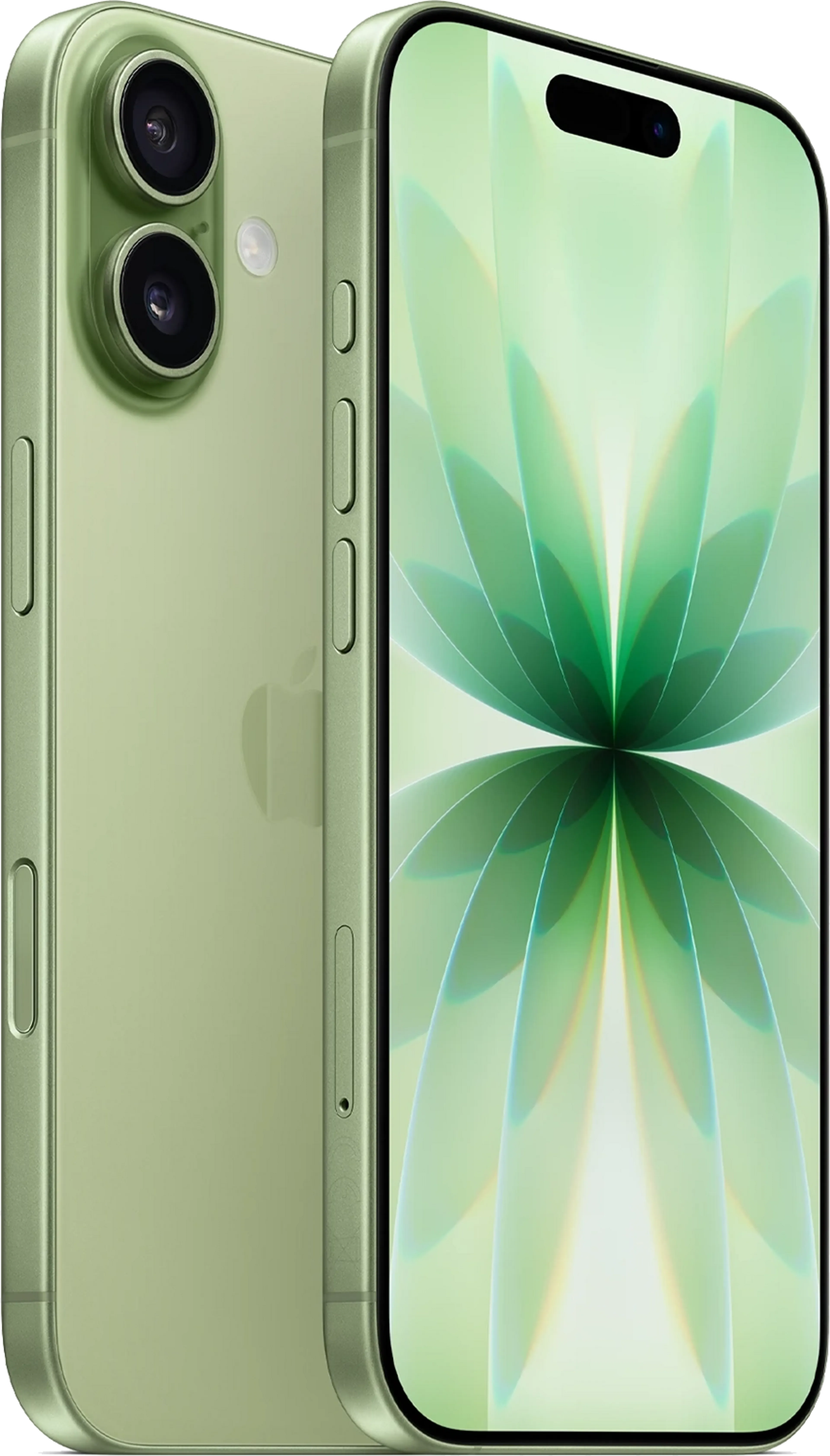 iPhone 17 256Go - Sage