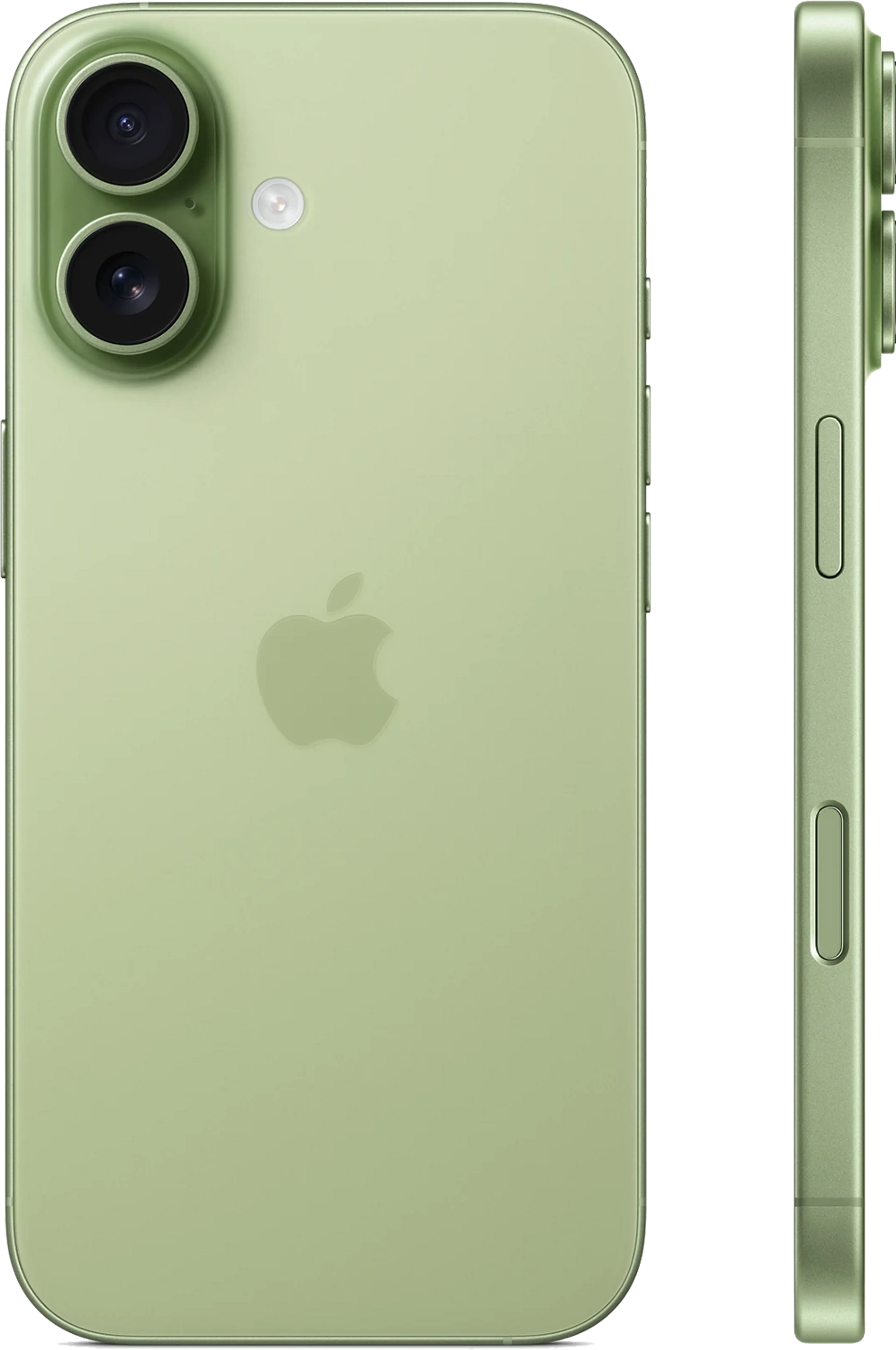 Apple iPhone 17 512Go - Sage image