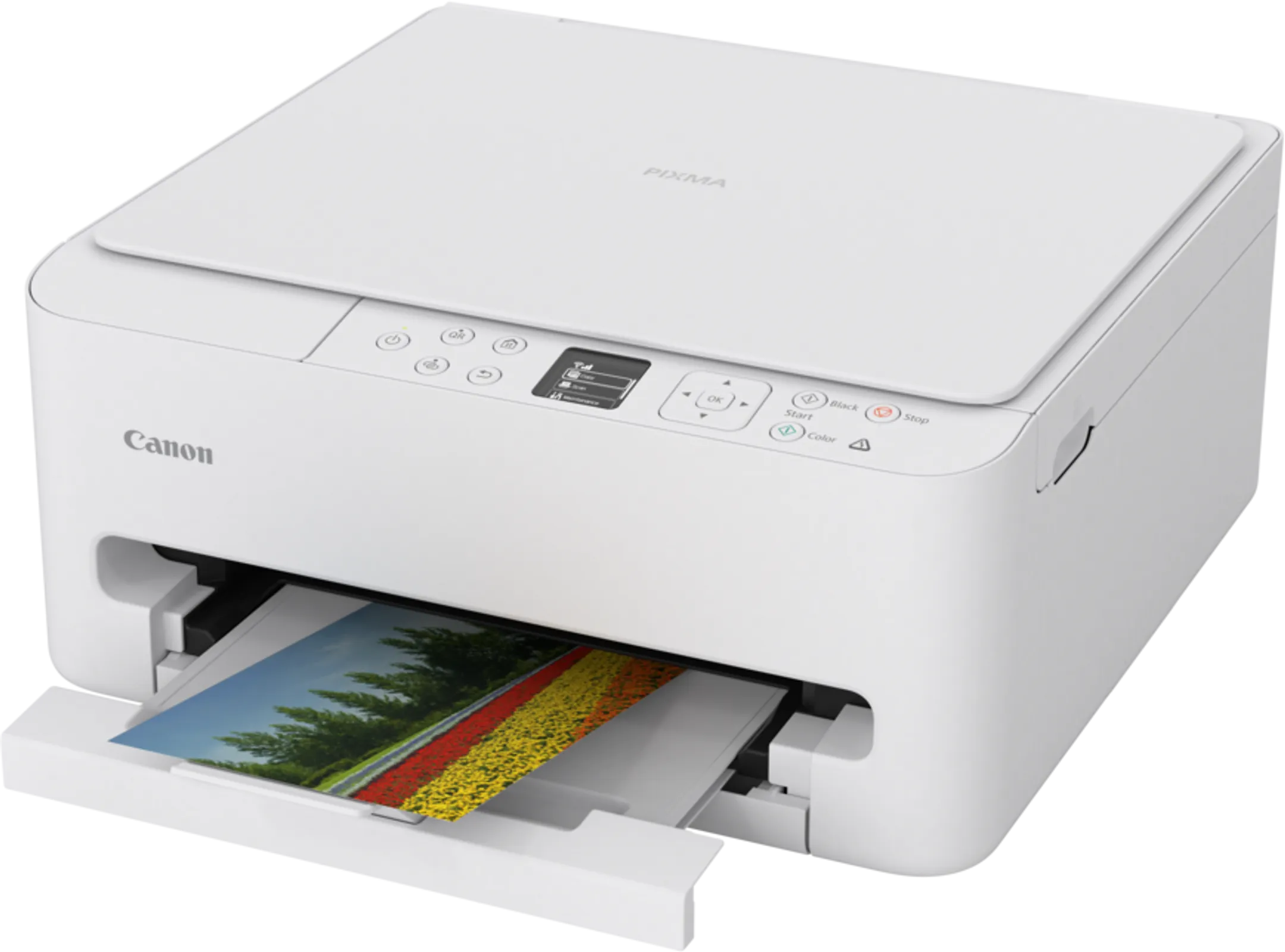 PIXMA TS6550I printer