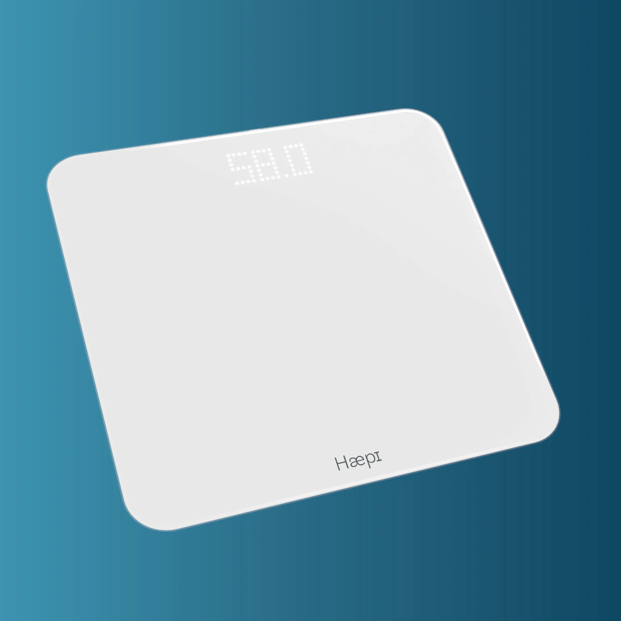 HAEPI Personenweegschaal Taylor image