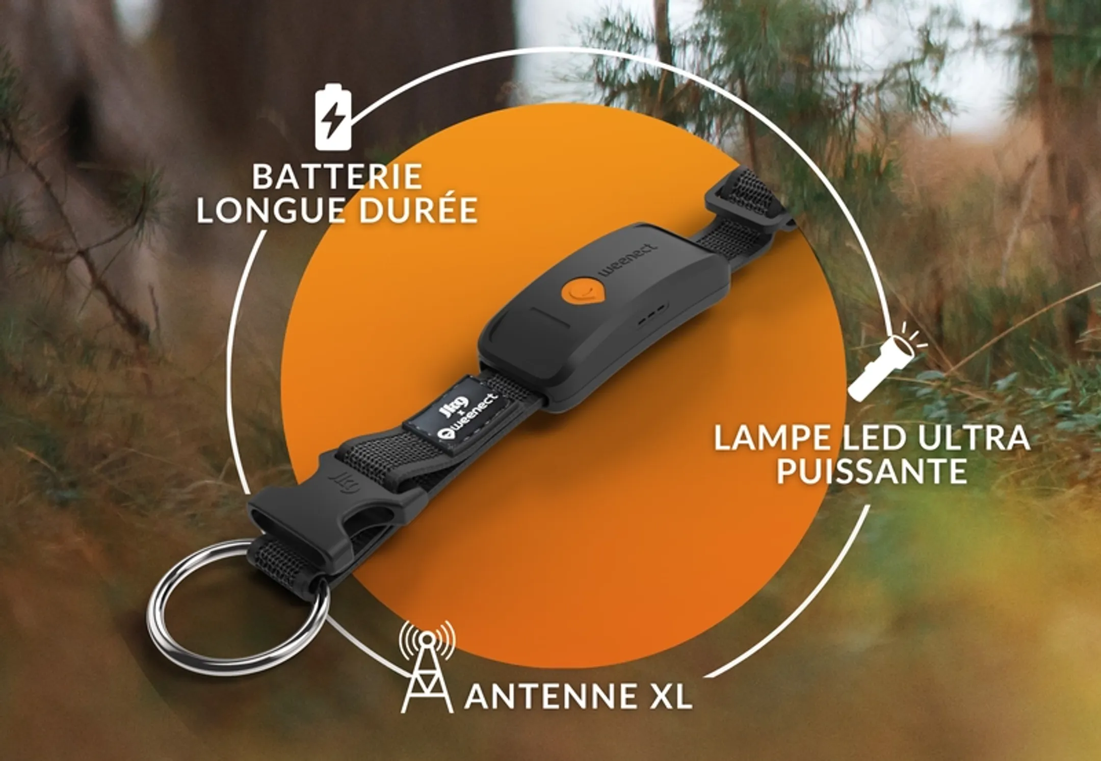 Weenect Collier GPS pour chien Weenect XT - Noir image