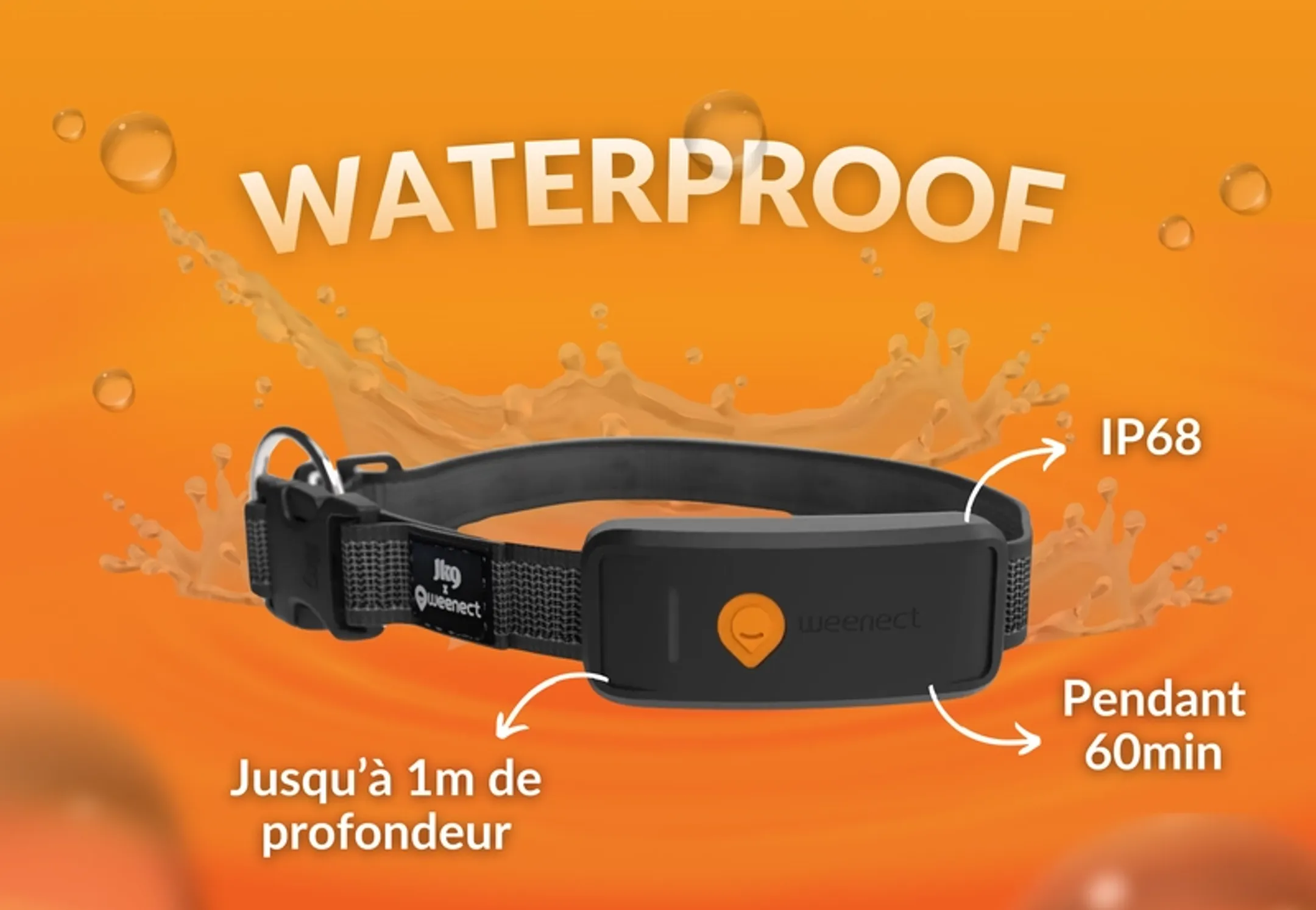 Weenect Collier GPS pour chien Weenect XT - Noir image