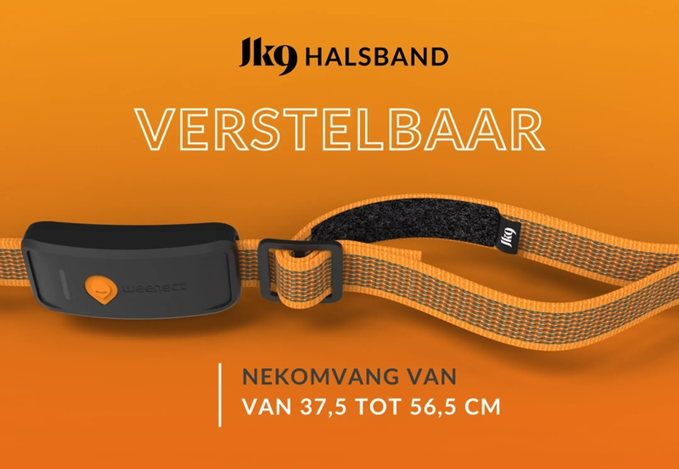 Weenect Weenect XT GPS-hondenhalsband - Oranje image