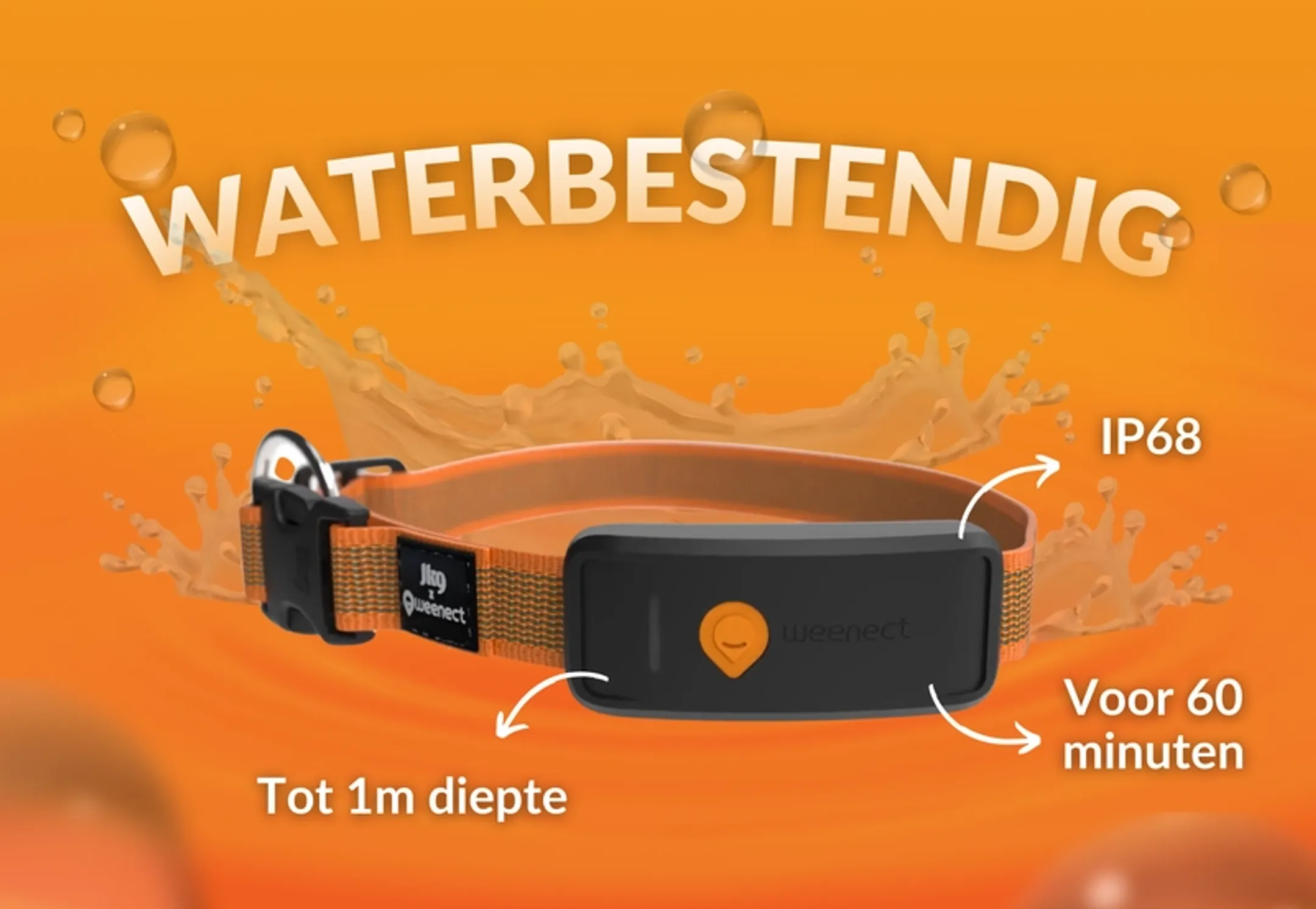 Weenect Weenect XT GPS-hondenhalsband - Oranje image