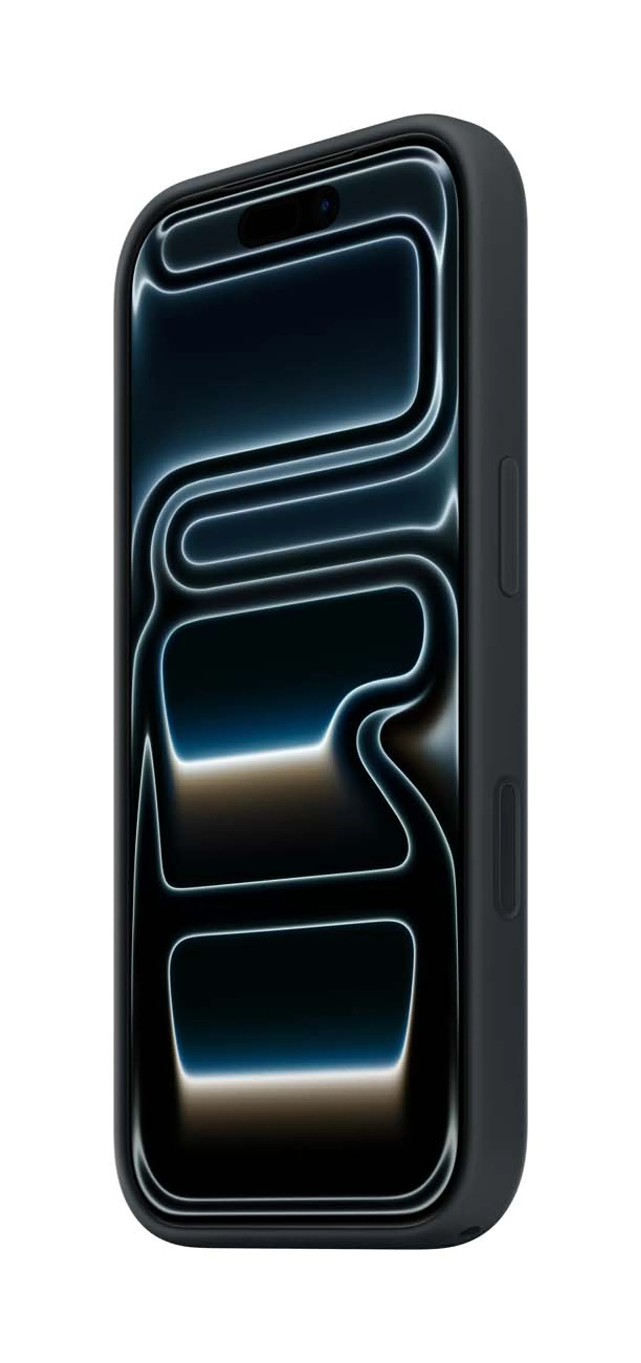 Apple Silicone cover MagSafe voor iPhone 17 Pro - Zwart image