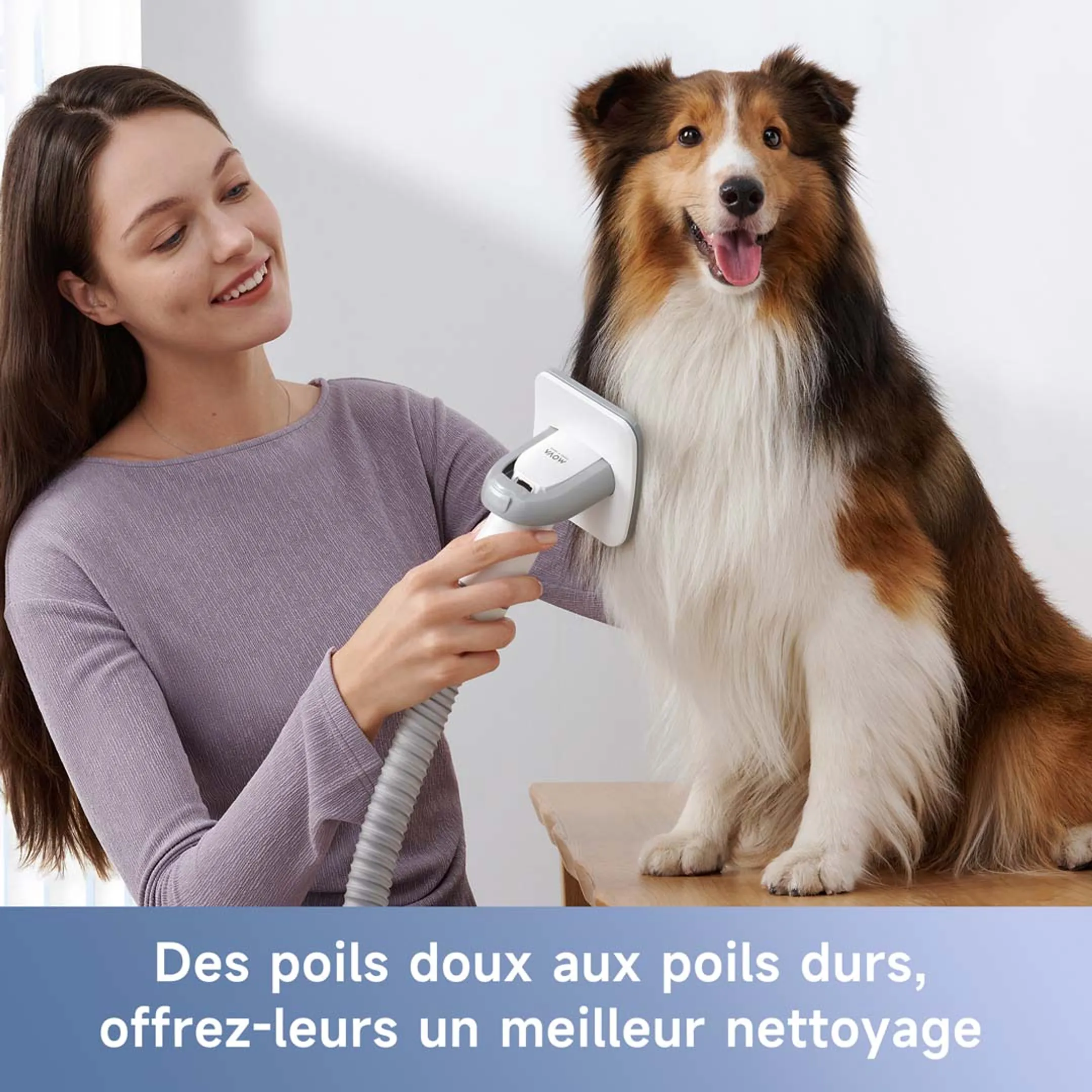 MOVA Kit pour toilettage d'animaux de compagnie G1 Pro image