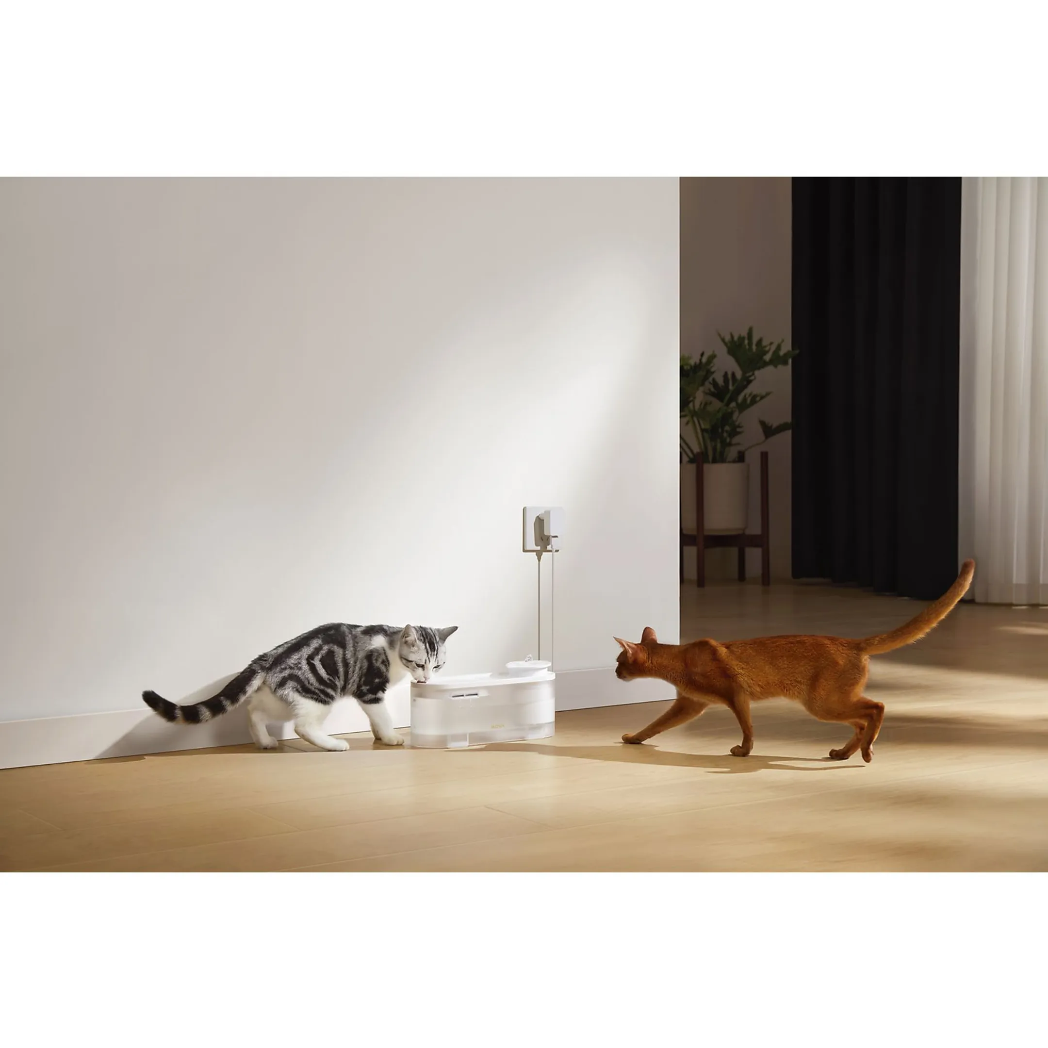 MOVA Waterfontein WF10 Pro image