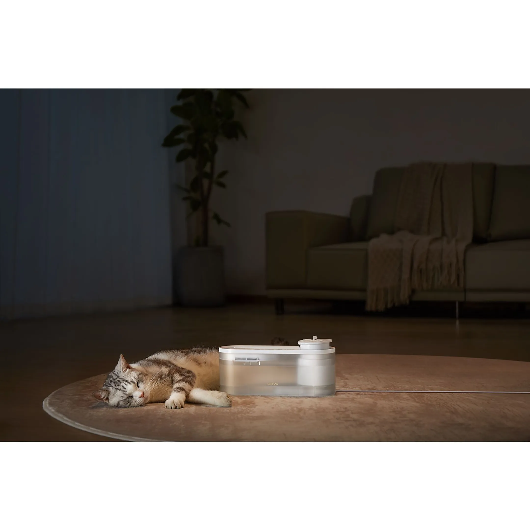 MOVA Waterfontein WF10 Pro image