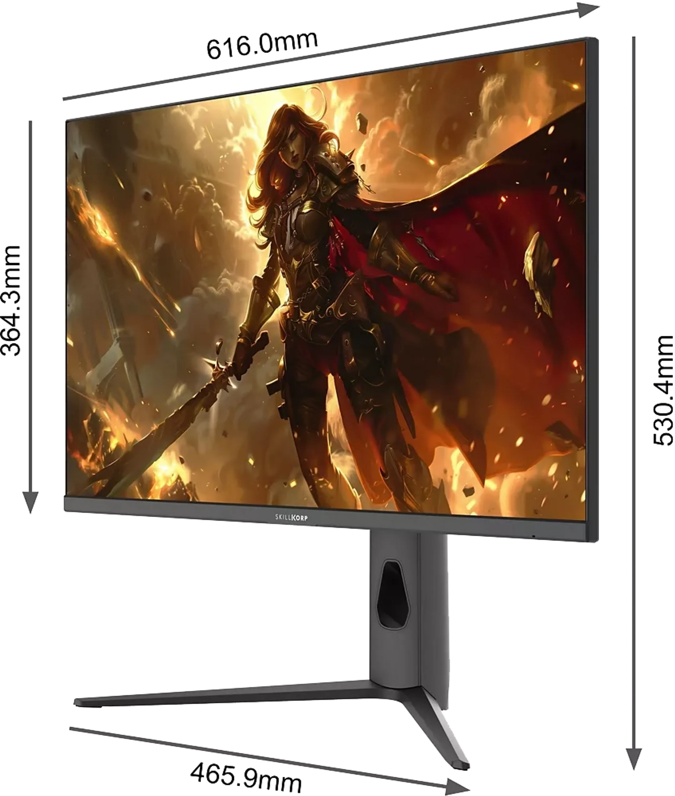 Skillkorp Ecran PC Gamer M27 27" Fast IPS 2025 image