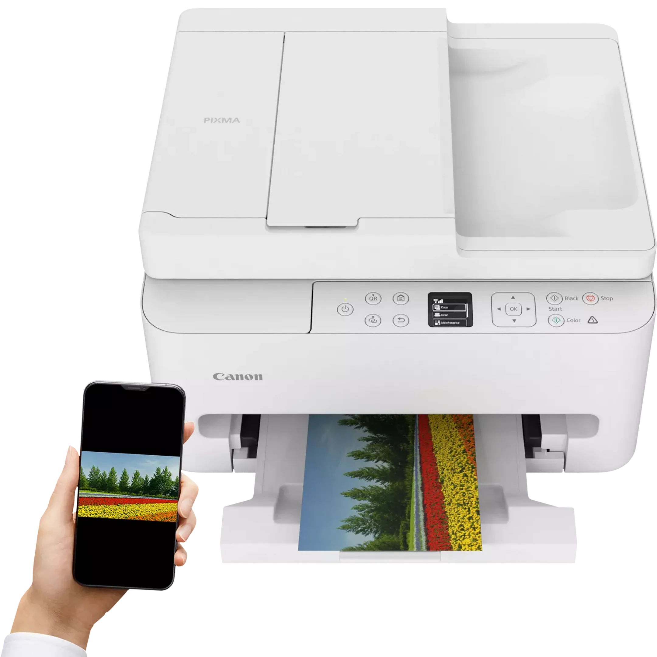 Canon PIXMA TS7550i draadloze 3-in-1 kleuren inkjet fotoprinter image