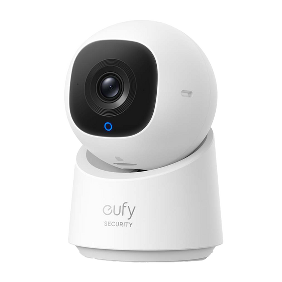 Indoor Cam C220