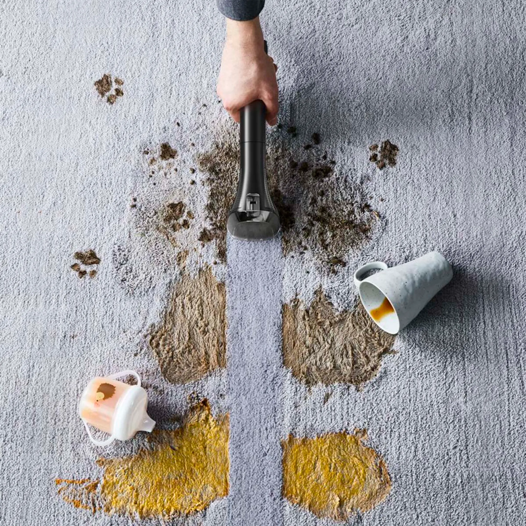 Rowenta Tapijtreiniger IN3020F0 image