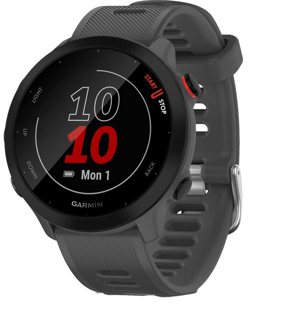 Forerunner 55 - Gris