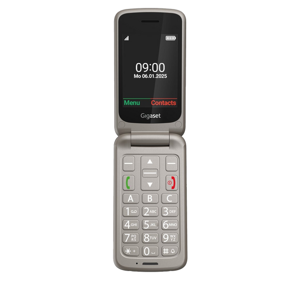 GL595 - Zilver