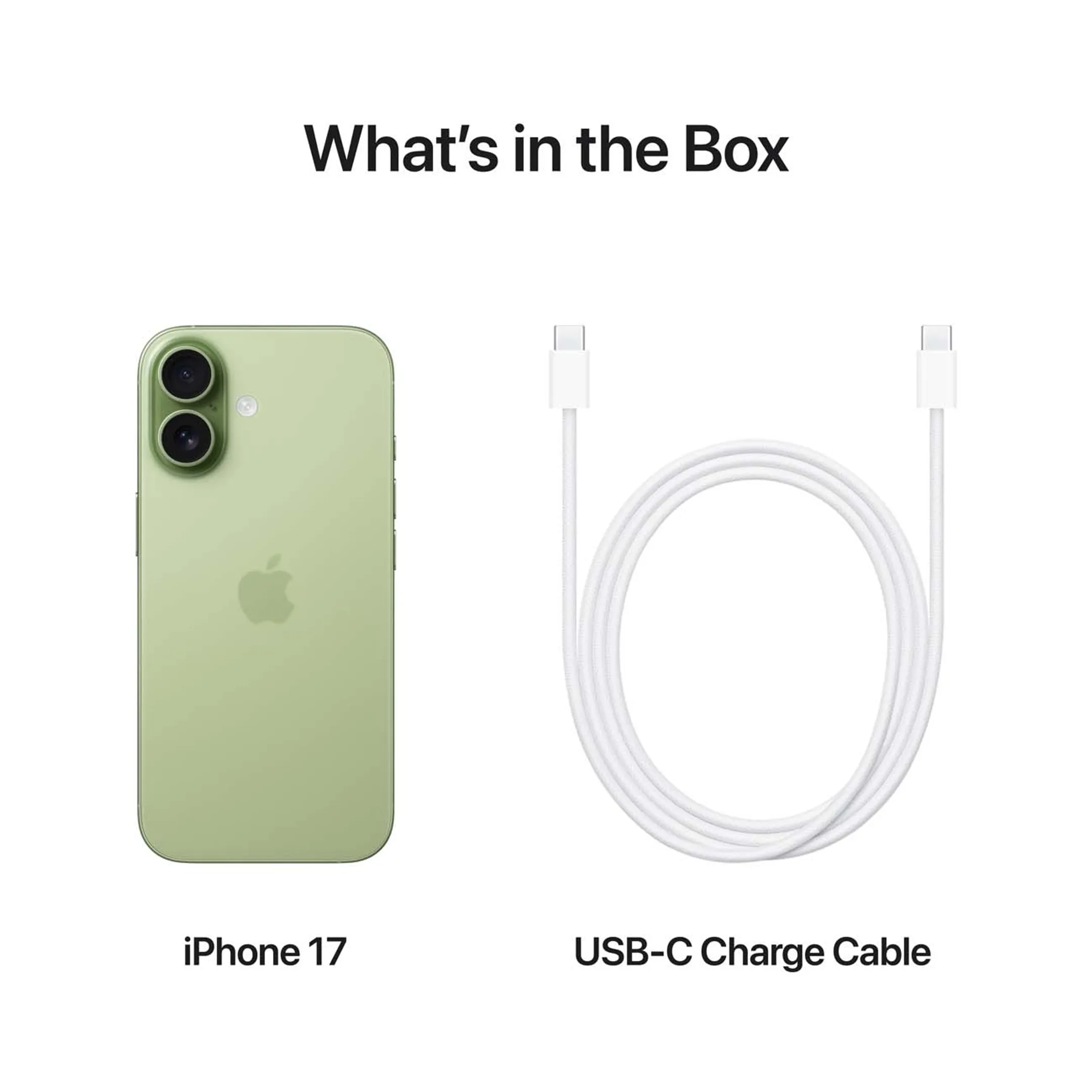 Apple iPhone 17 512GB - Sage image
