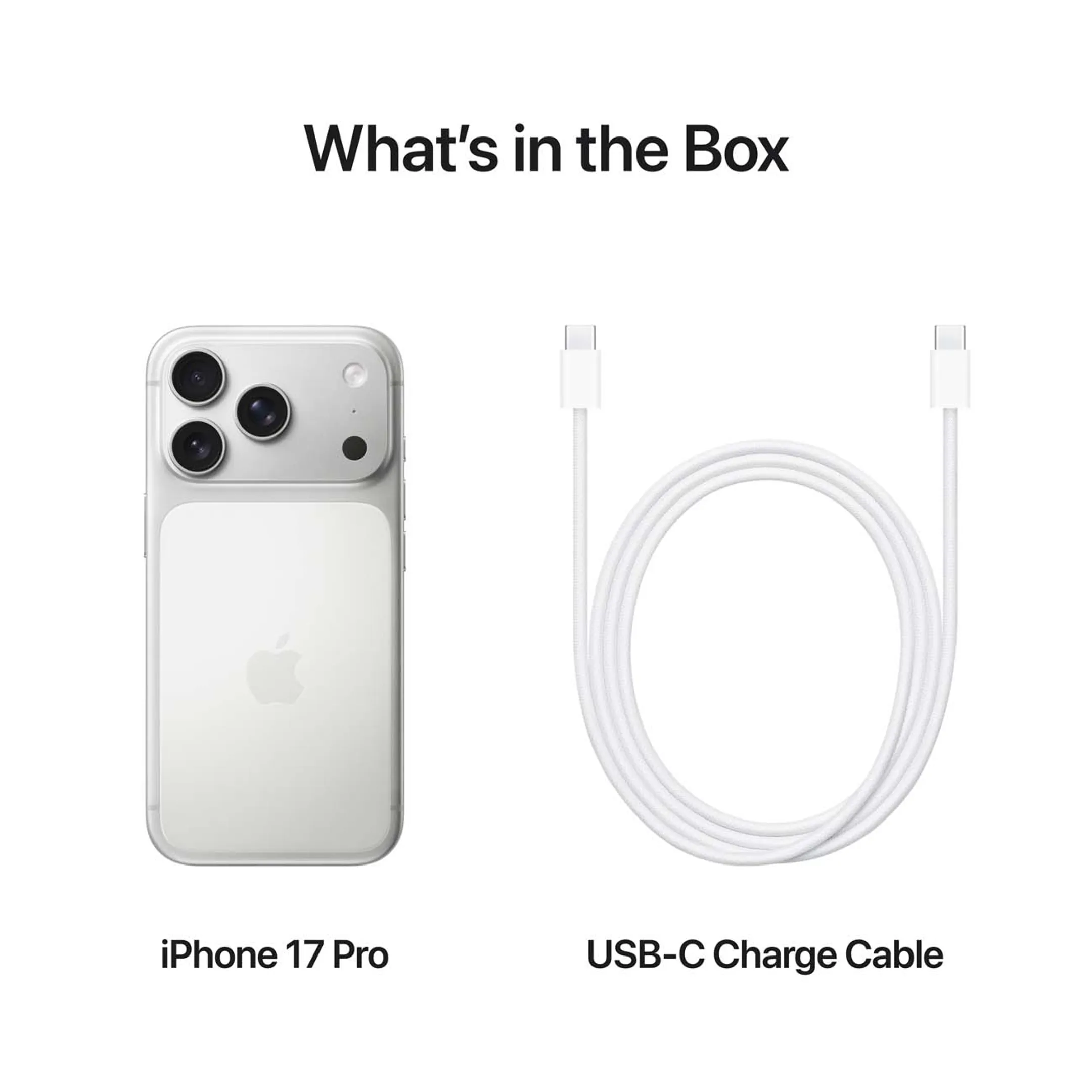 Apple iPhone 17 Pro 1TB - Silver image