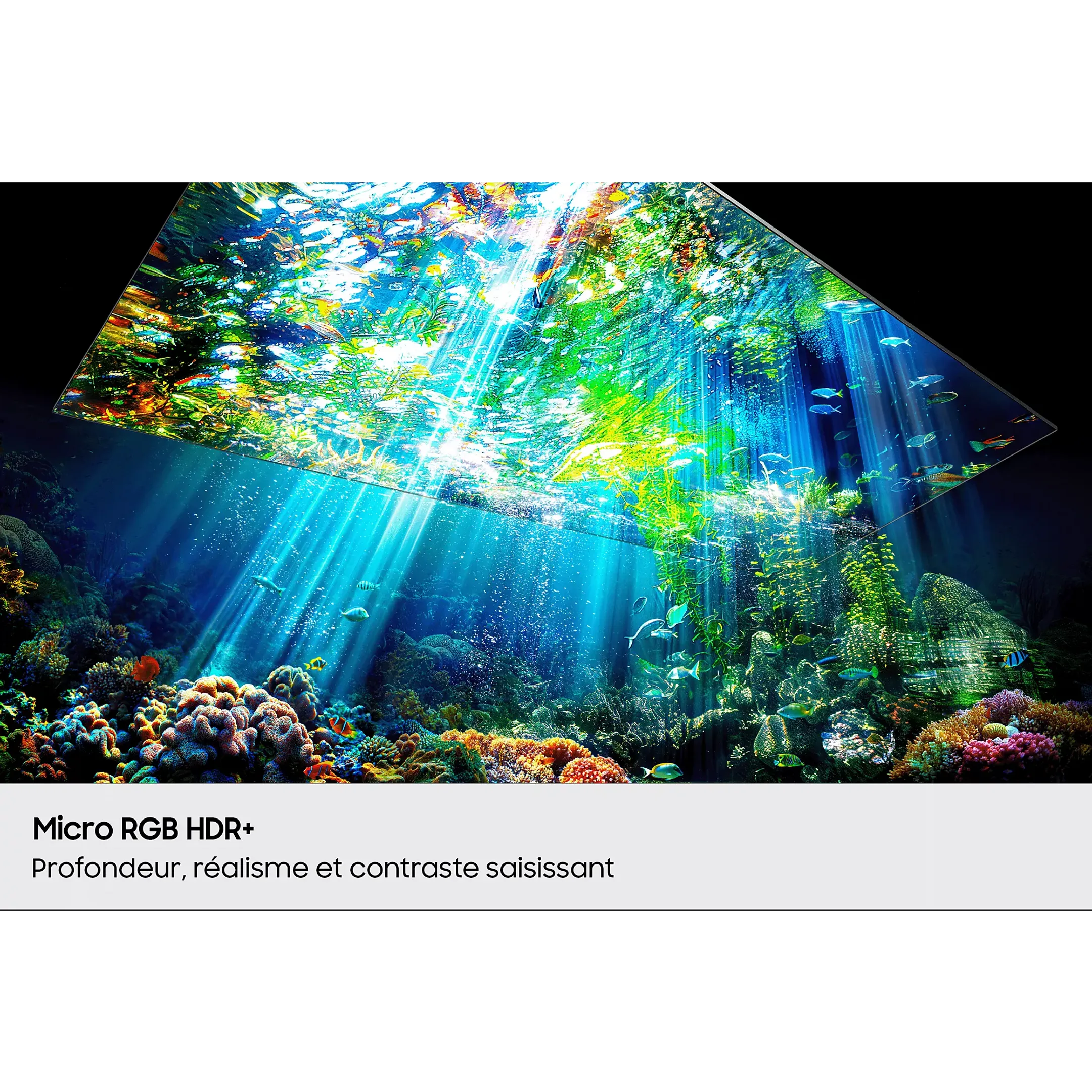 Samsung TV Micro RGB MR95F (2025) - 125 pouces image