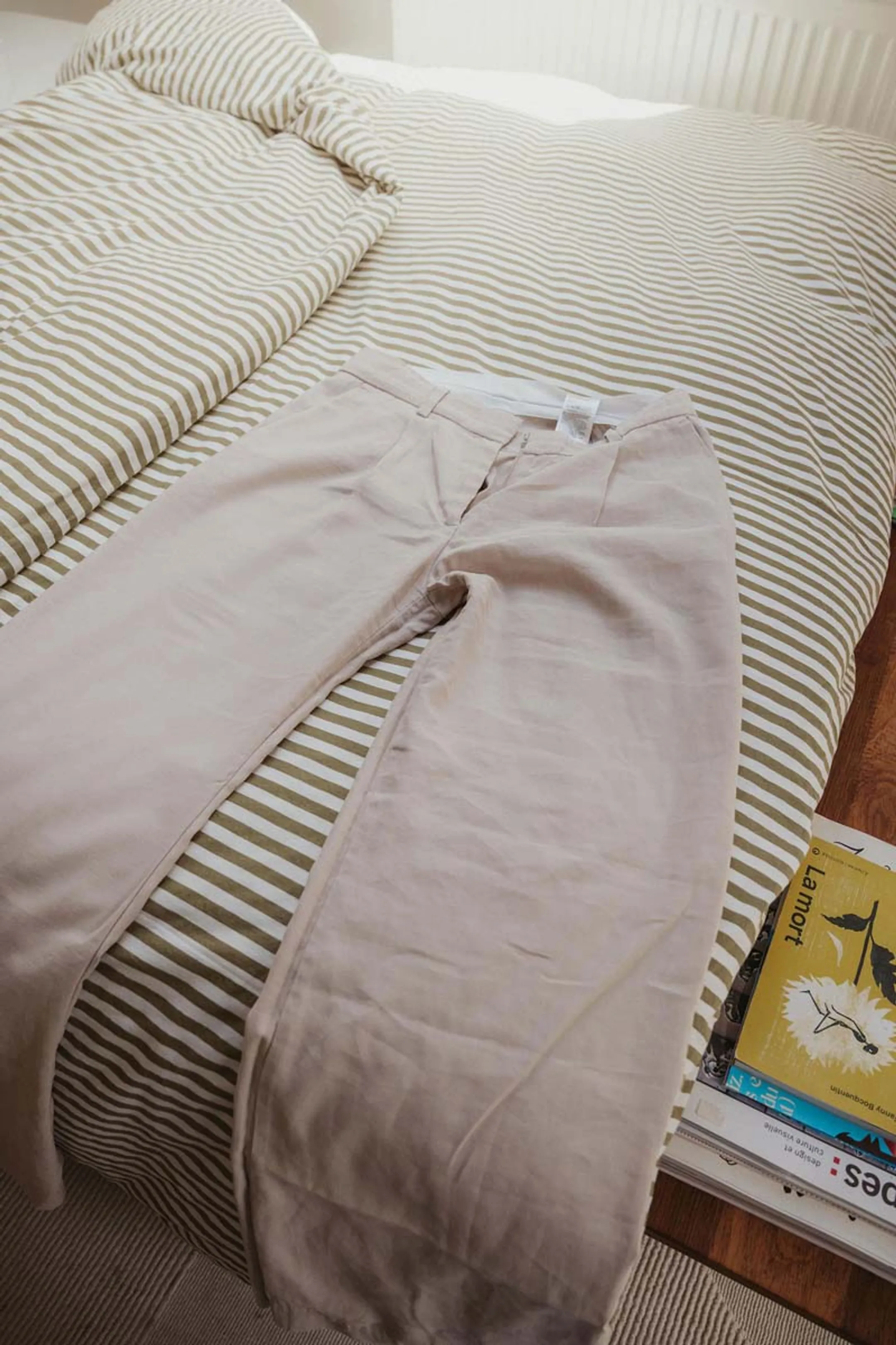 Calor Kledingstomer AeroSteam DT9814C0 image