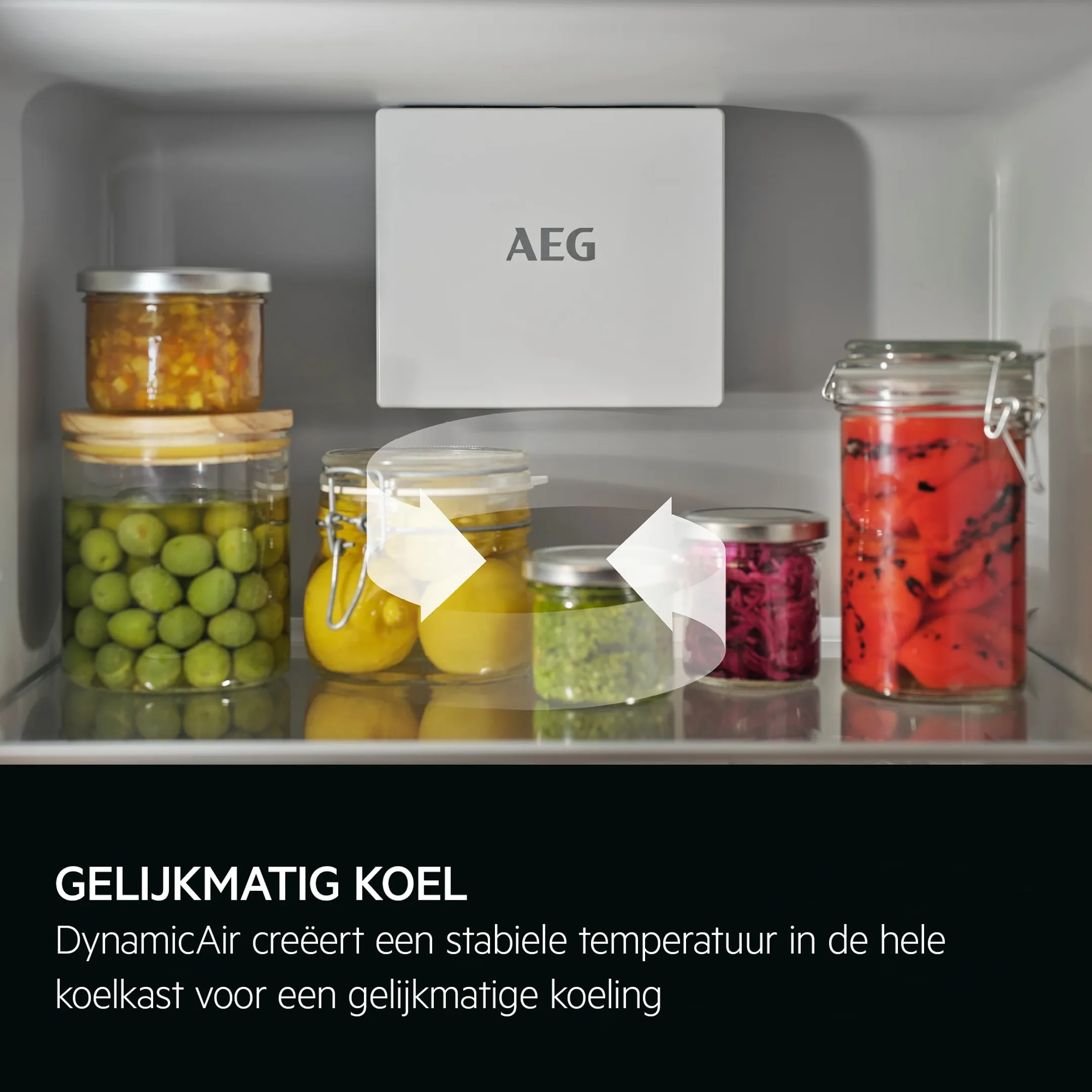 AEG Inbouw koelkast TK6DS181DC image