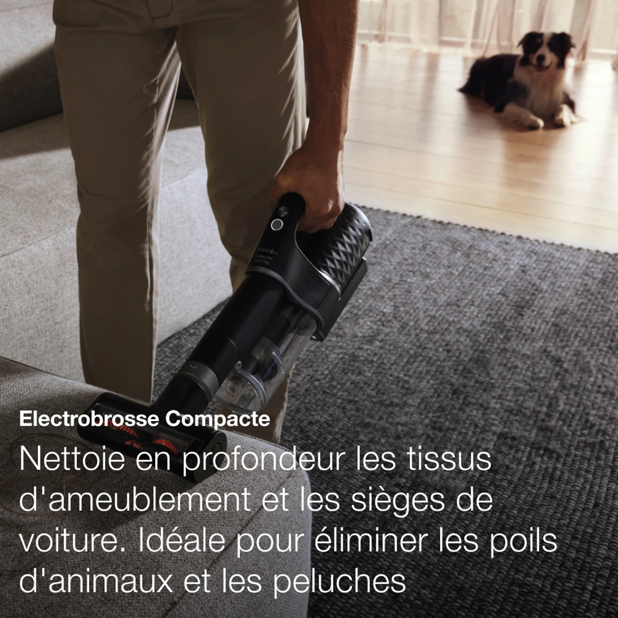 Miele Aspirateur balai Duoflex HX1 Cat&dog - Noir image