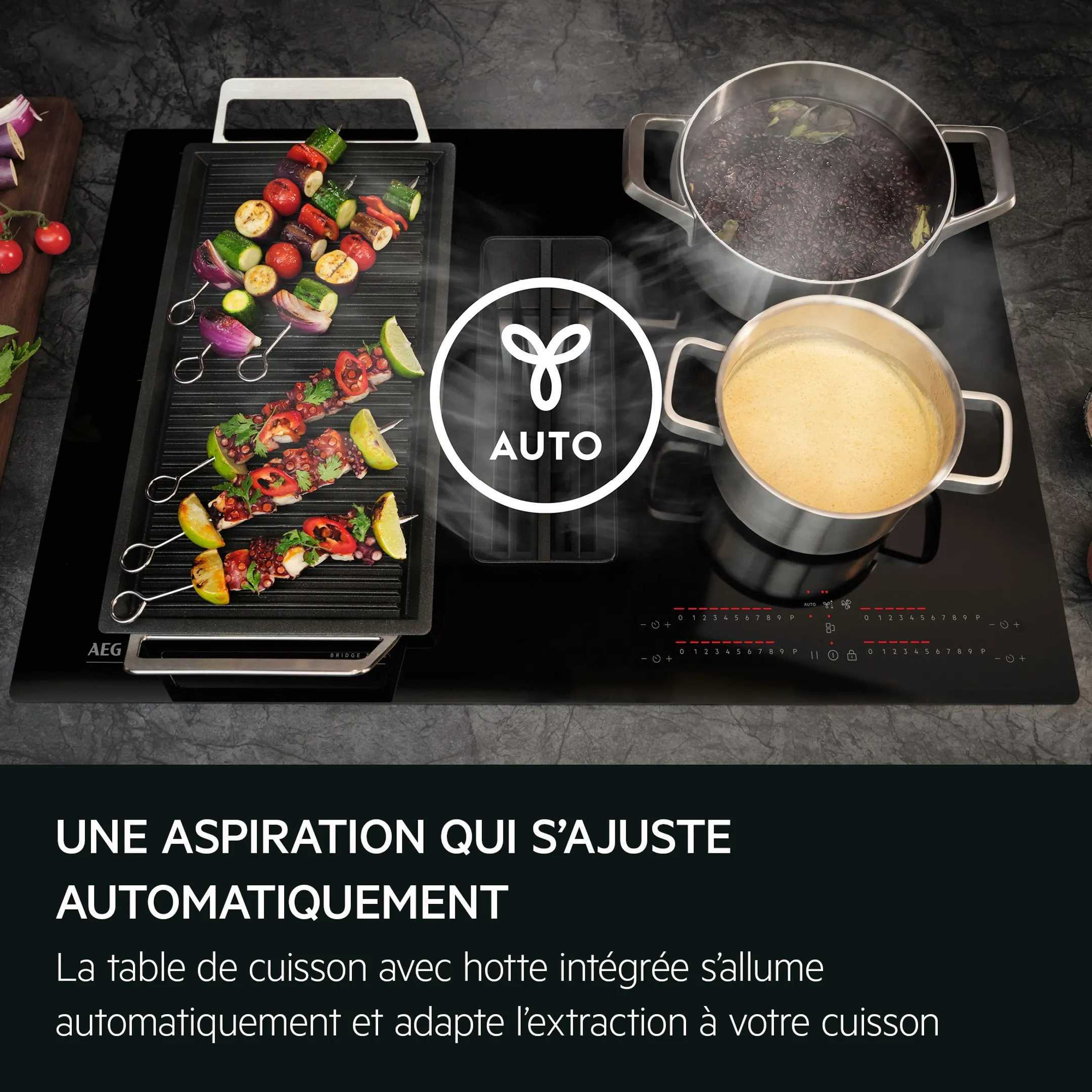 AEG Taque avec hotte intégrée TH84CB03CB image