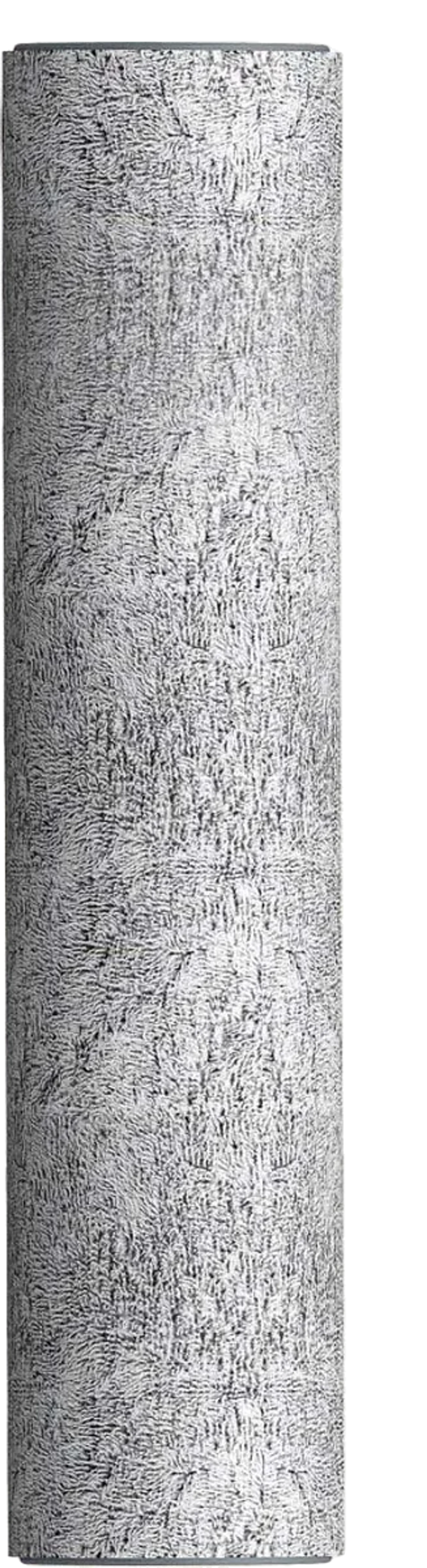 Vloerborstel Floor One S6