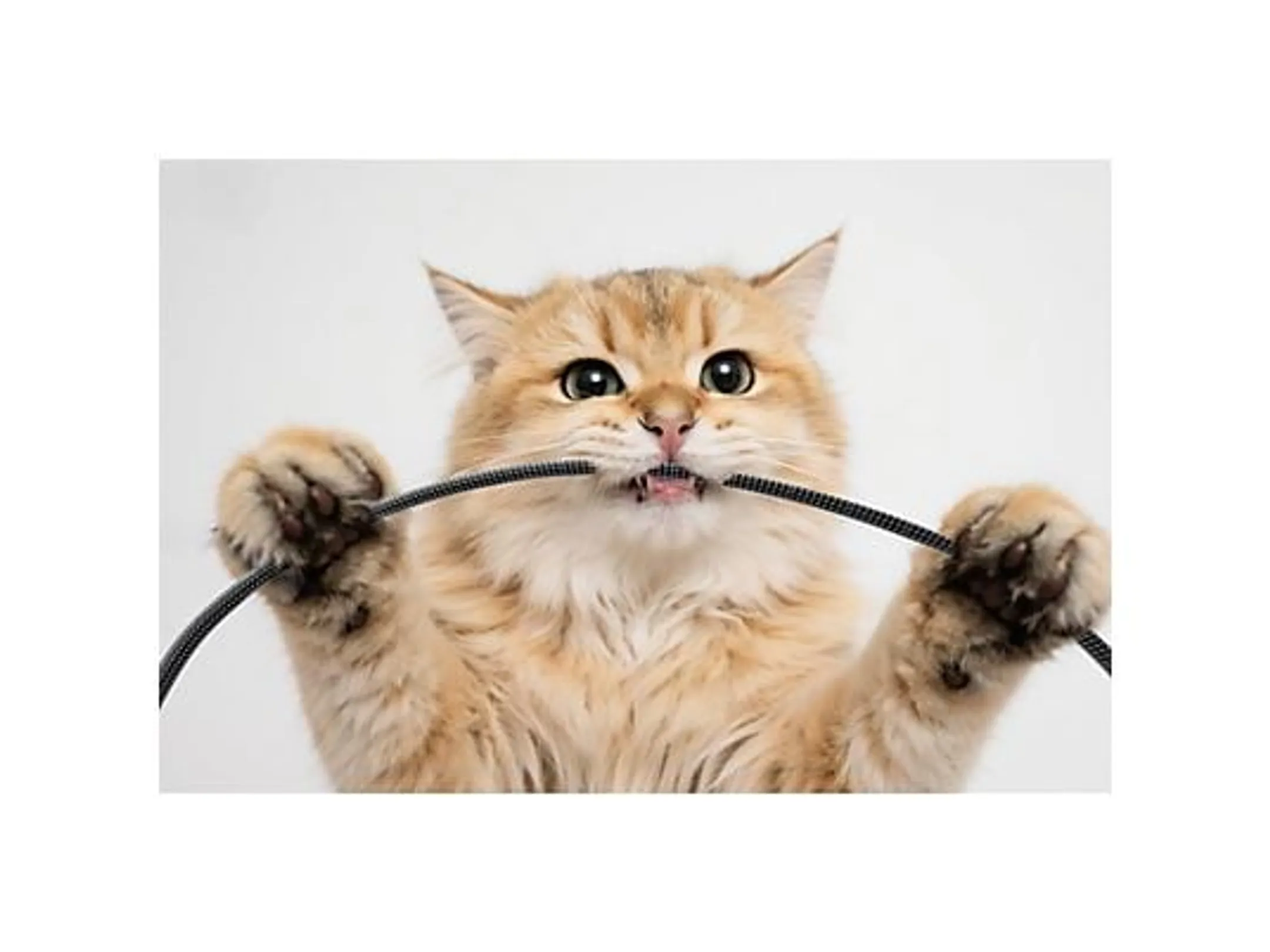 Dreame Luchtreiniger AP10 image