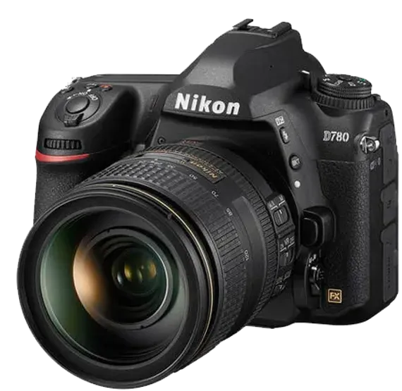 D780 + AF-S NIKKOR 24-120 mm f/4 ED VR