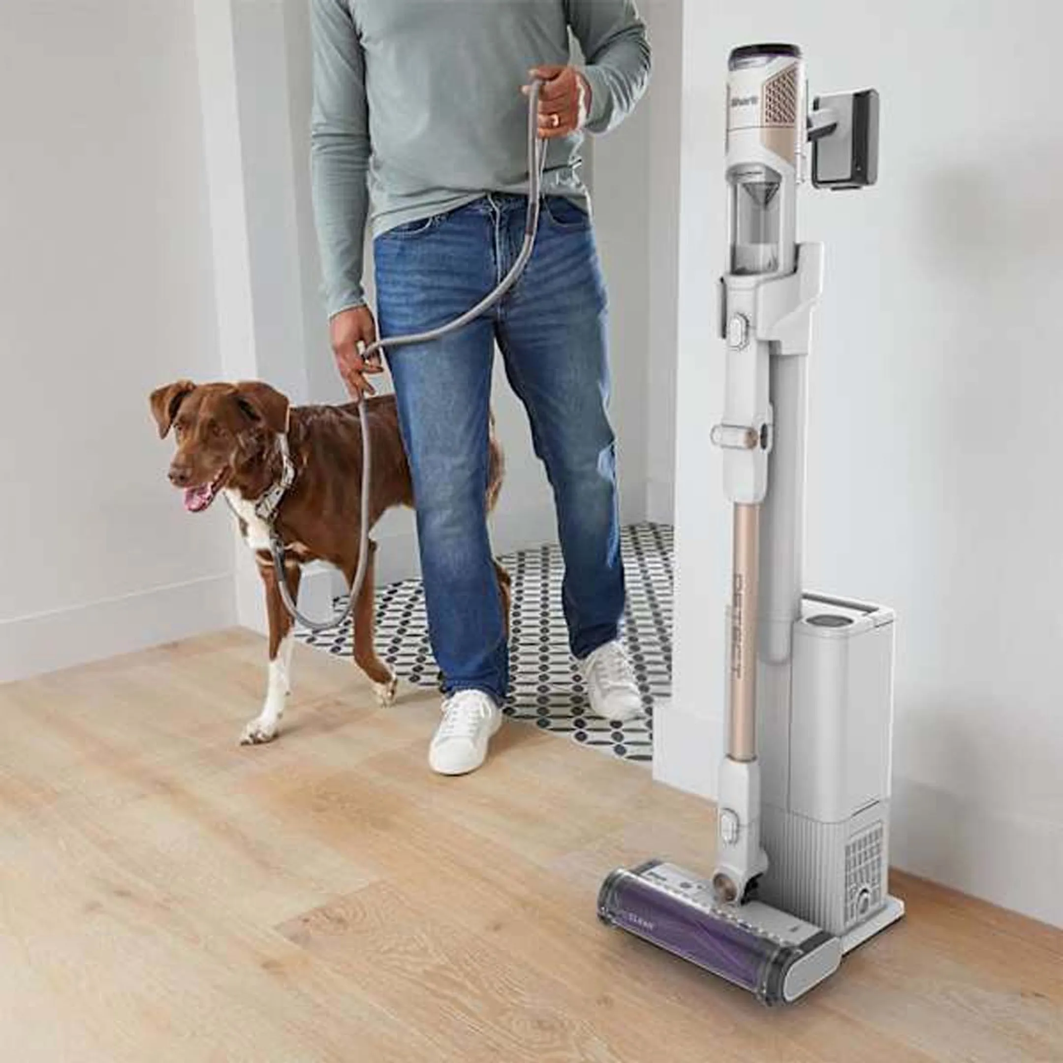 Aspirateur balai Detect Clean and Empty IW3612EUT