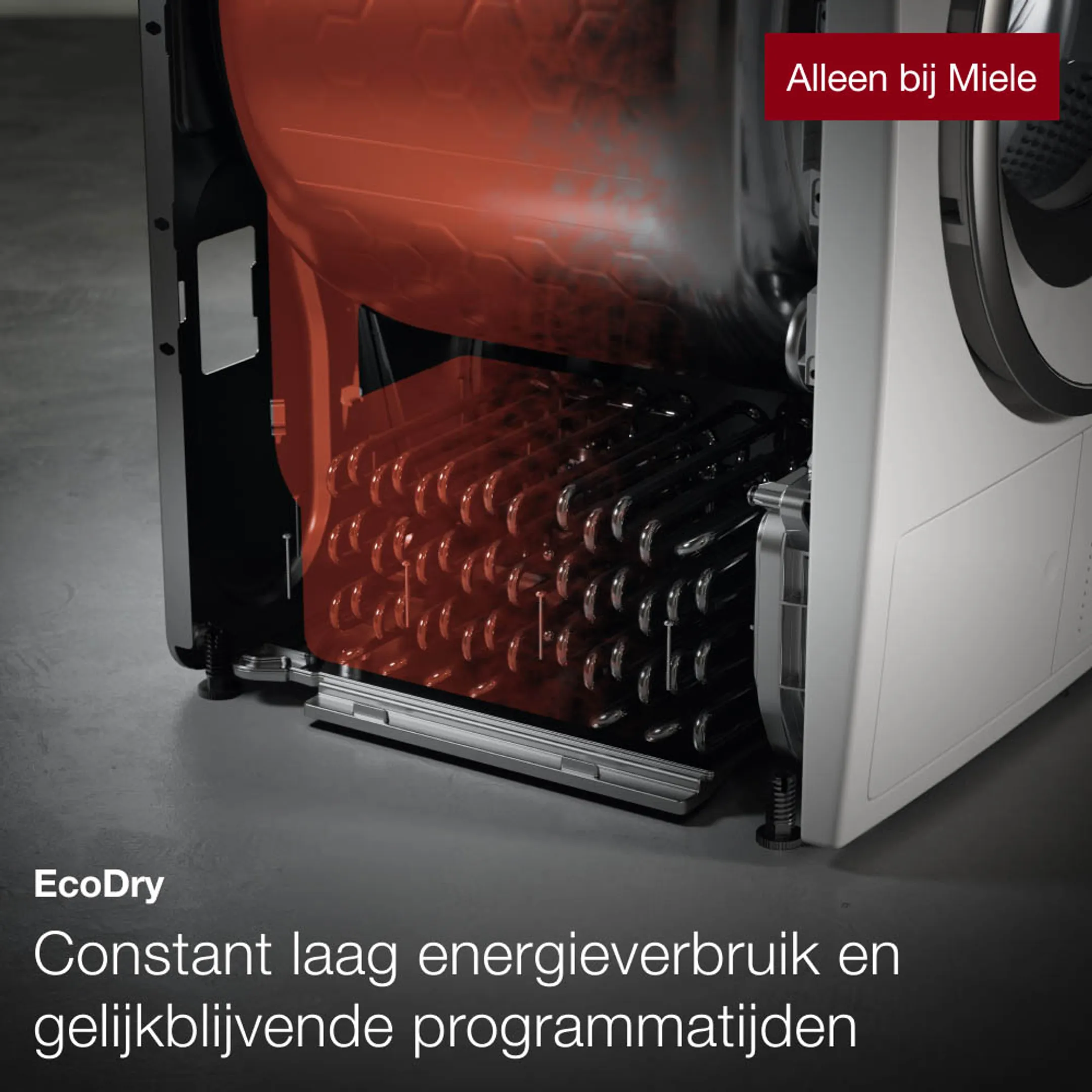 Droogkast TWD 640 WP EcoSpeed