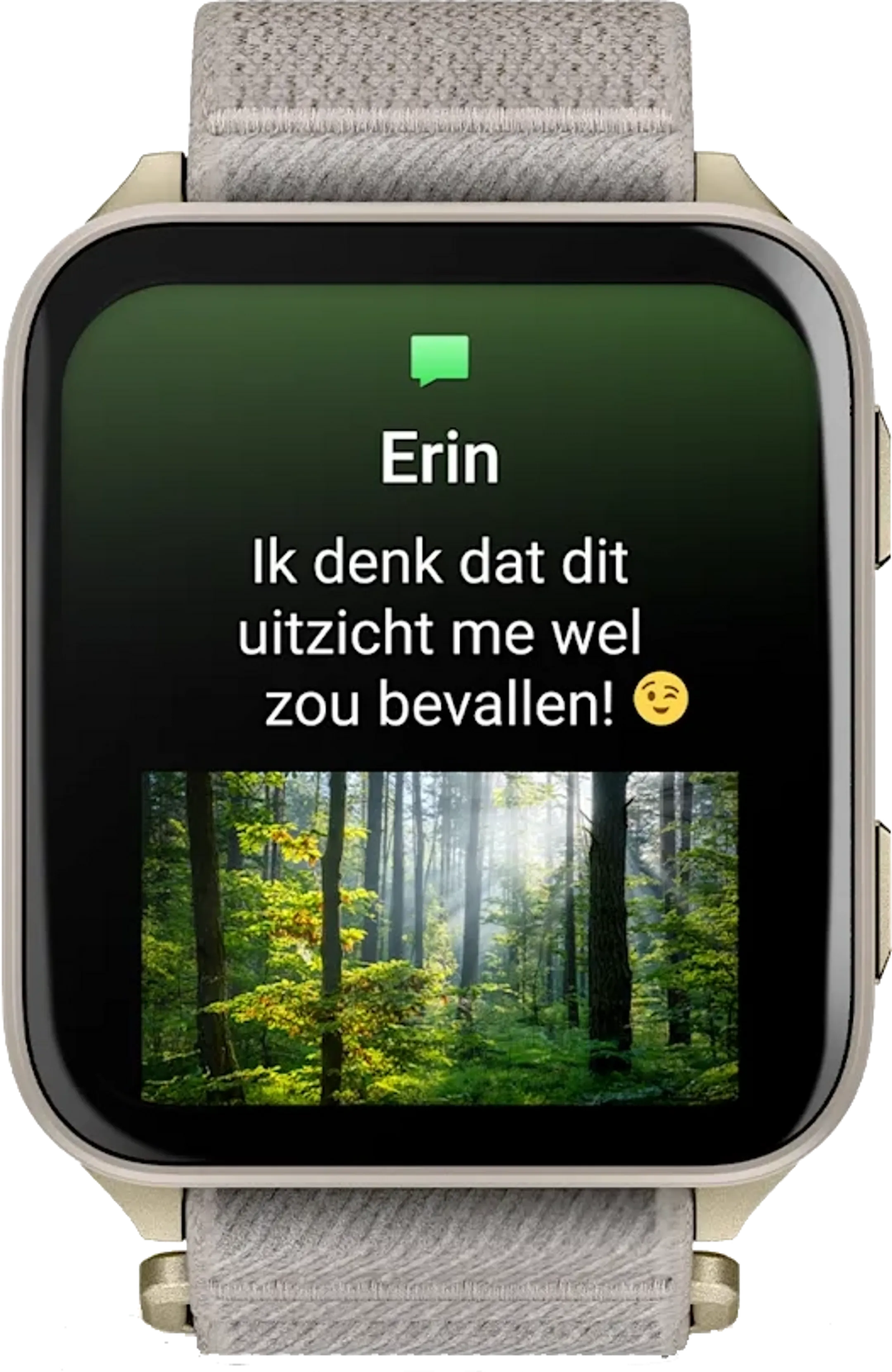 Garmin Venu X1 - Gris image