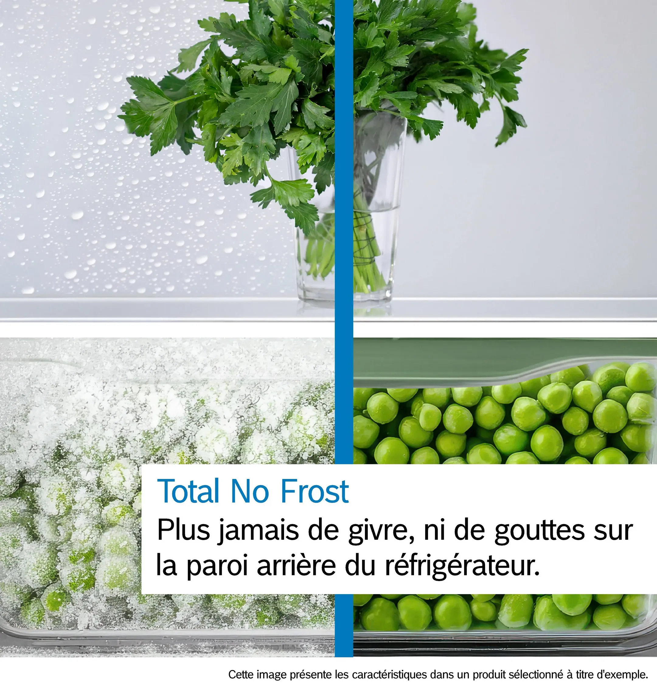 Bosch Frigo avec congélateur KGN392I1F image