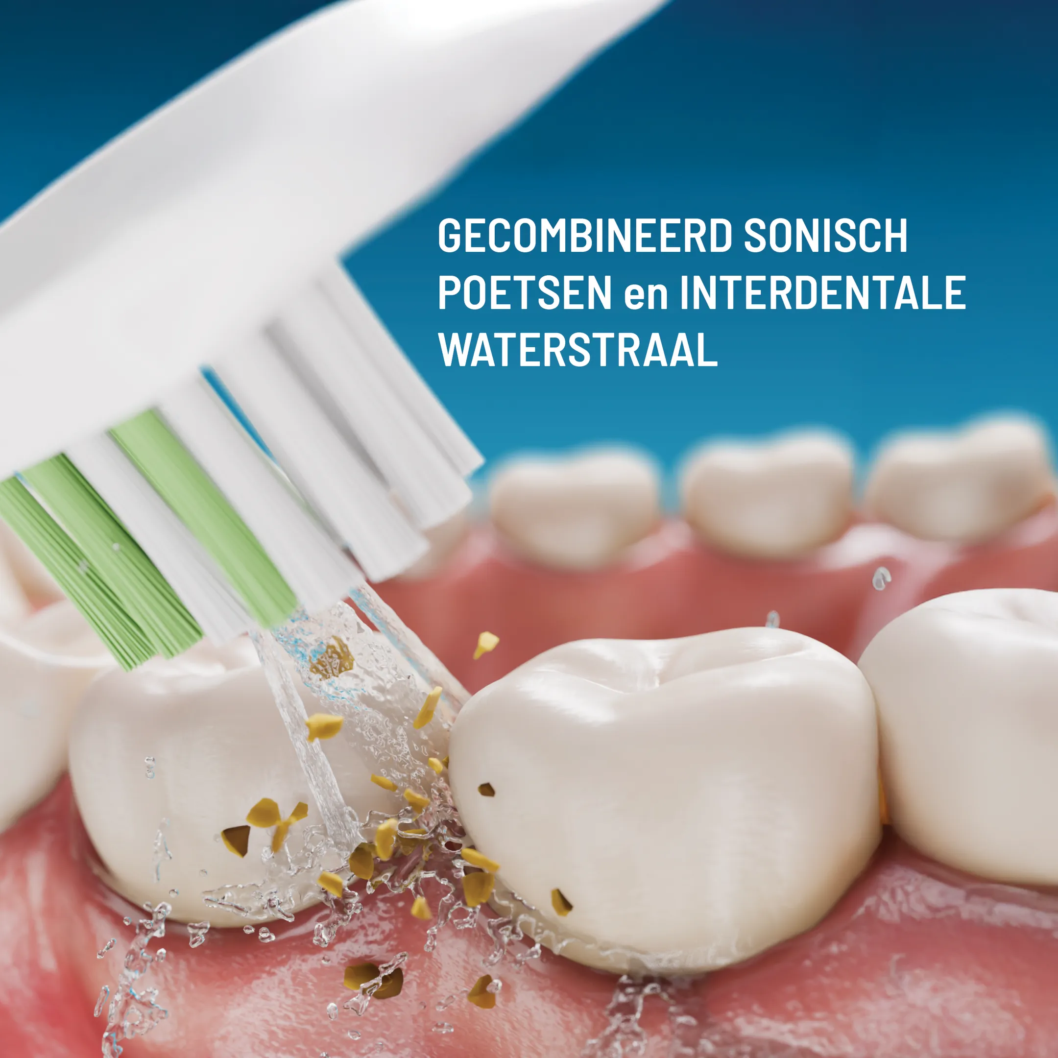 Opzetborstels Julia - 4st