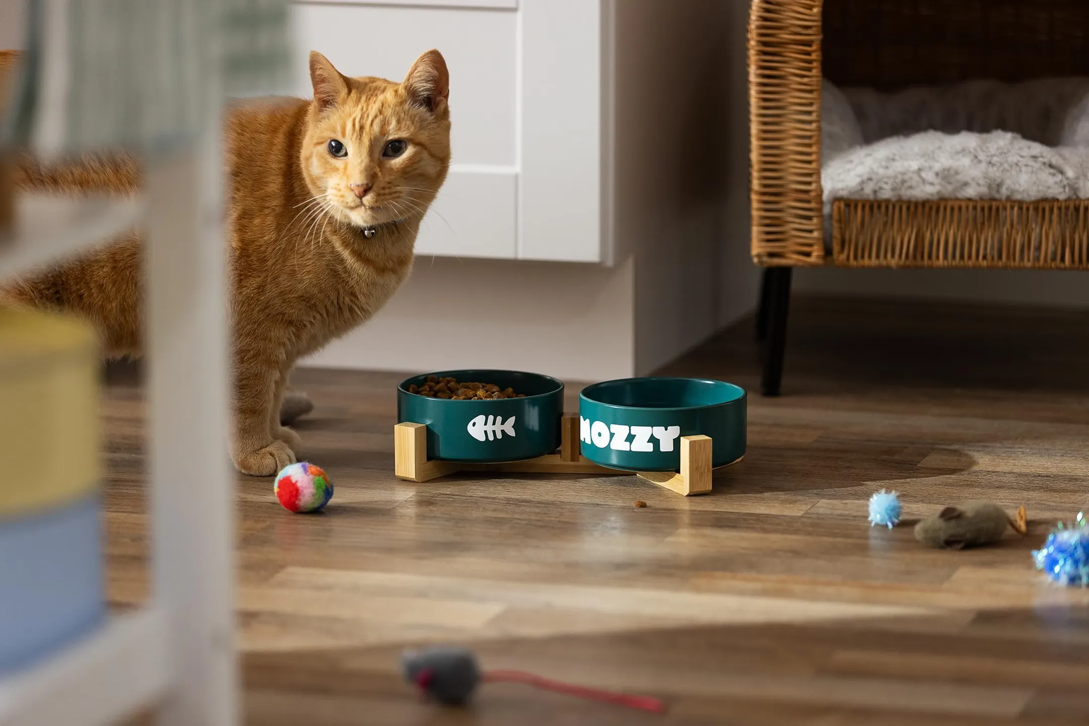 Joy 2 + Essentials-bundel