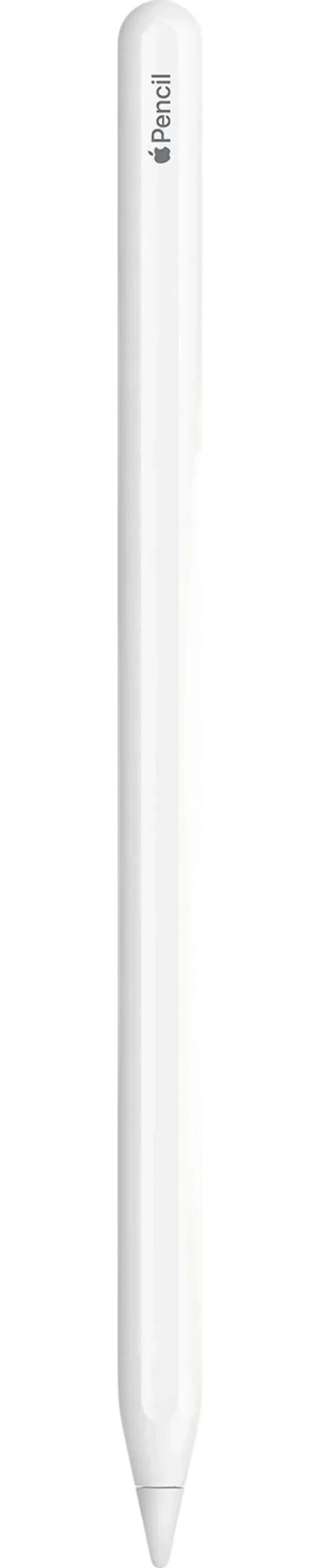 Pencil (2e génération) - MU8F2ZM/A