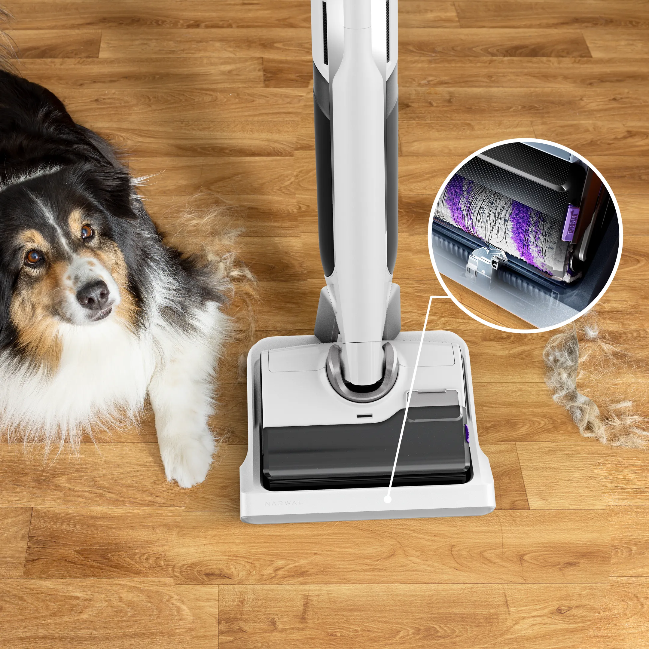 Nettoyeur de sols X-Clean 12 GZ7257E0