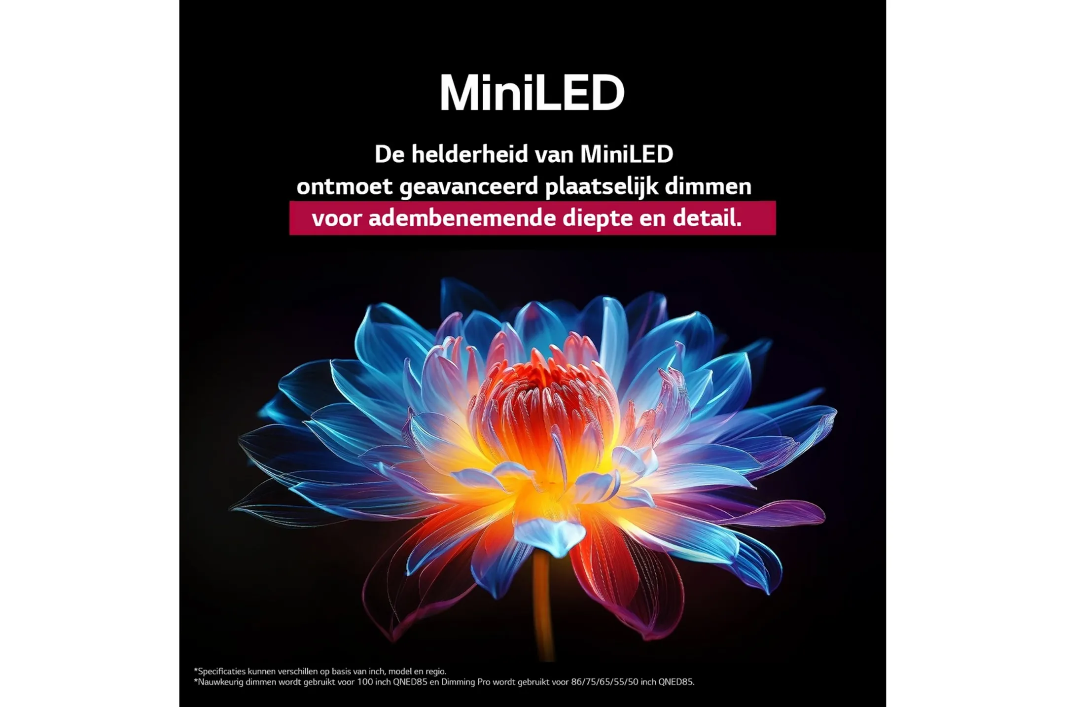 QNED evo AI MiniLED TV 4K  55QNED86A6A (2025) - 55 pouces