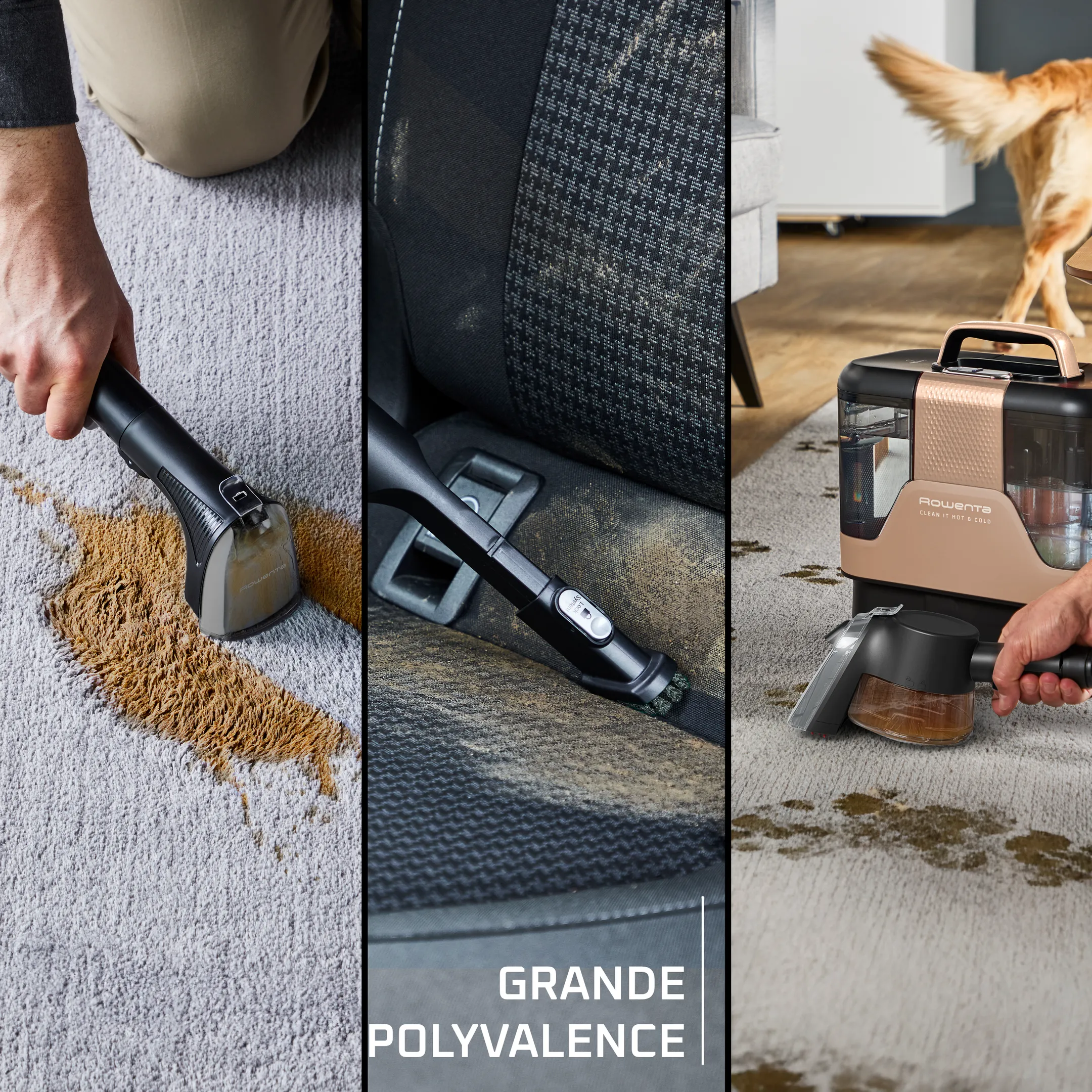 Nettoyeur de tapis Clean It Hot & Cold IN7021F0