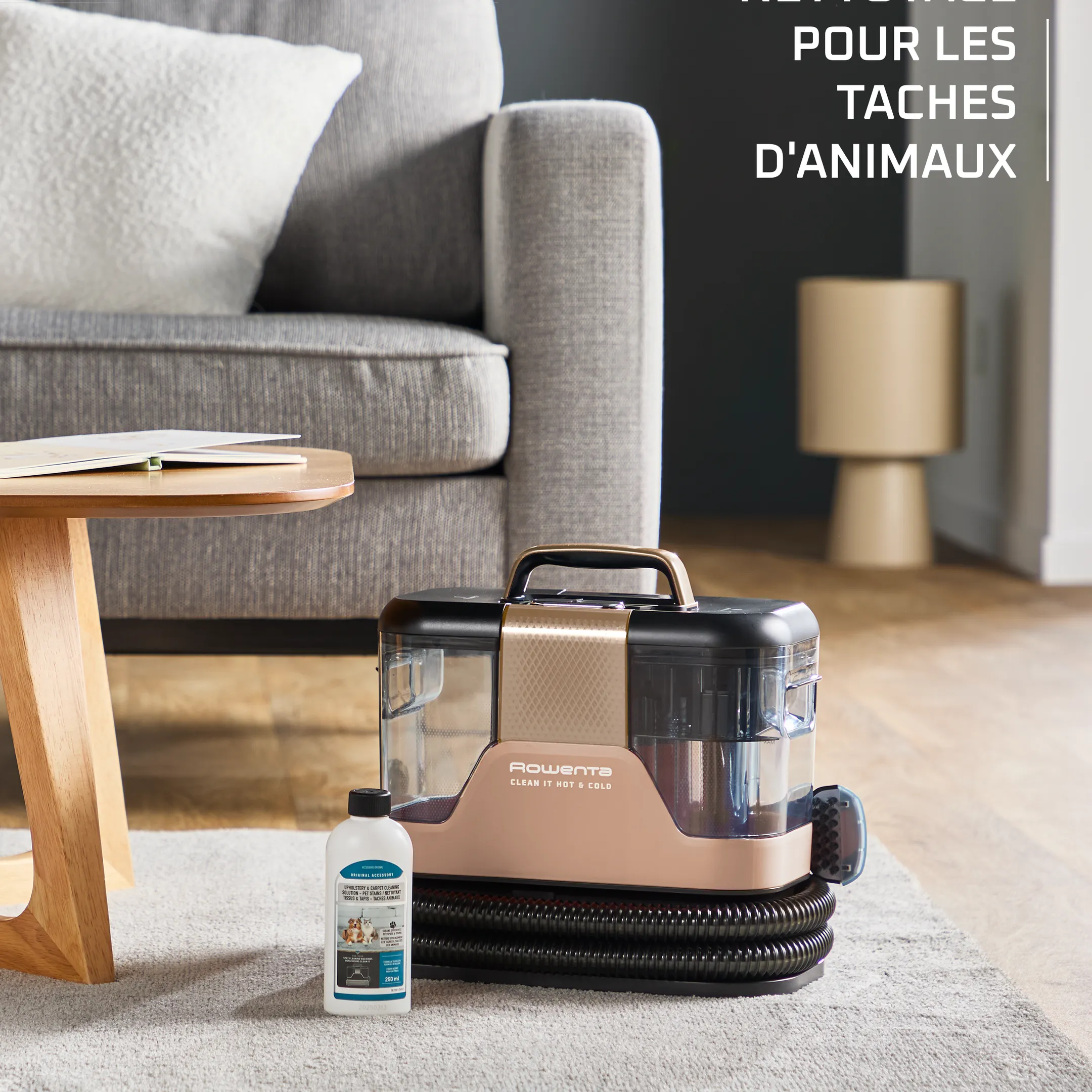 Nettoyeur de tapis Clean It Hot & Cold IN7021F0