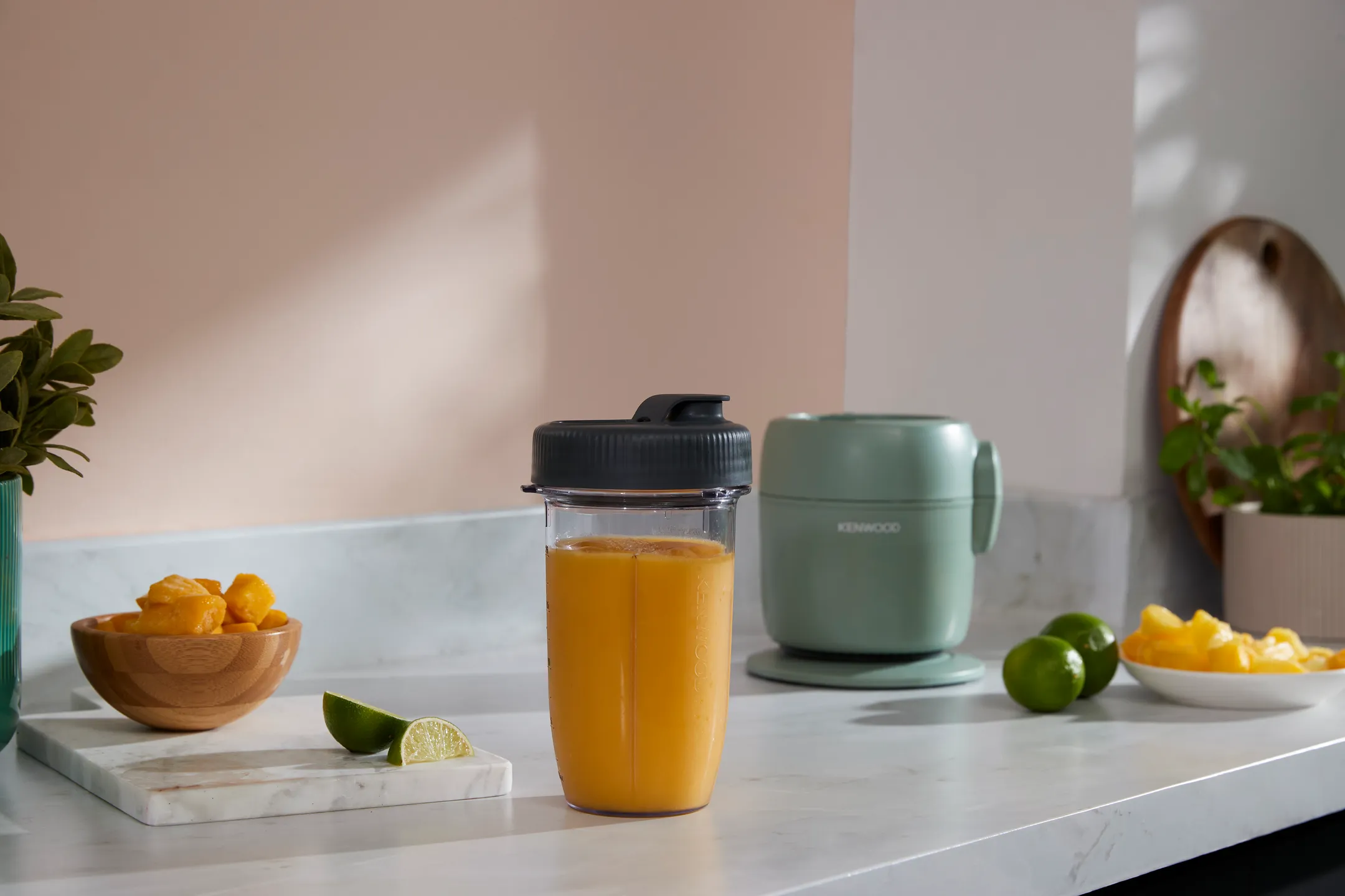 Foodprocessor MultiPro Go Blend FDP23.380GR